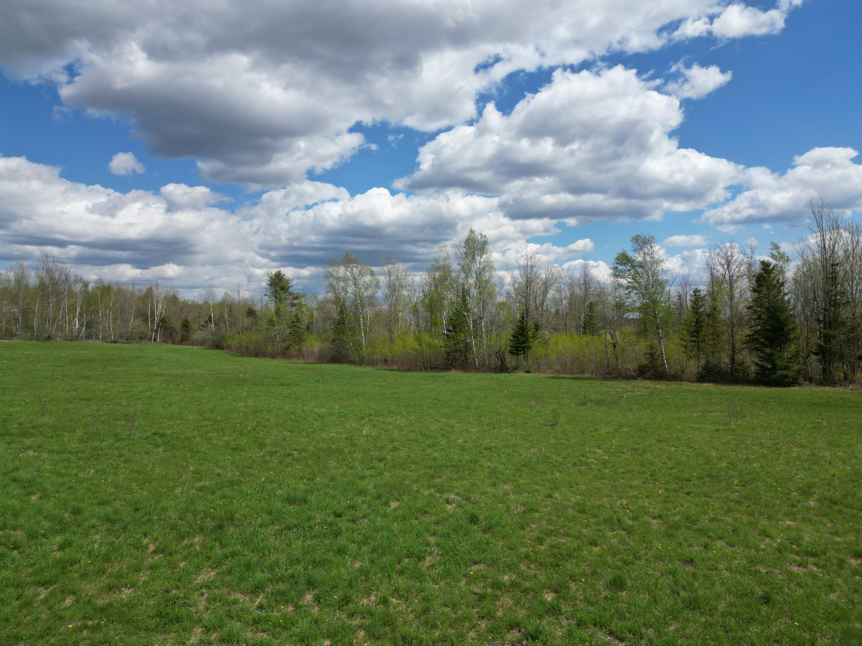 DJI_0456