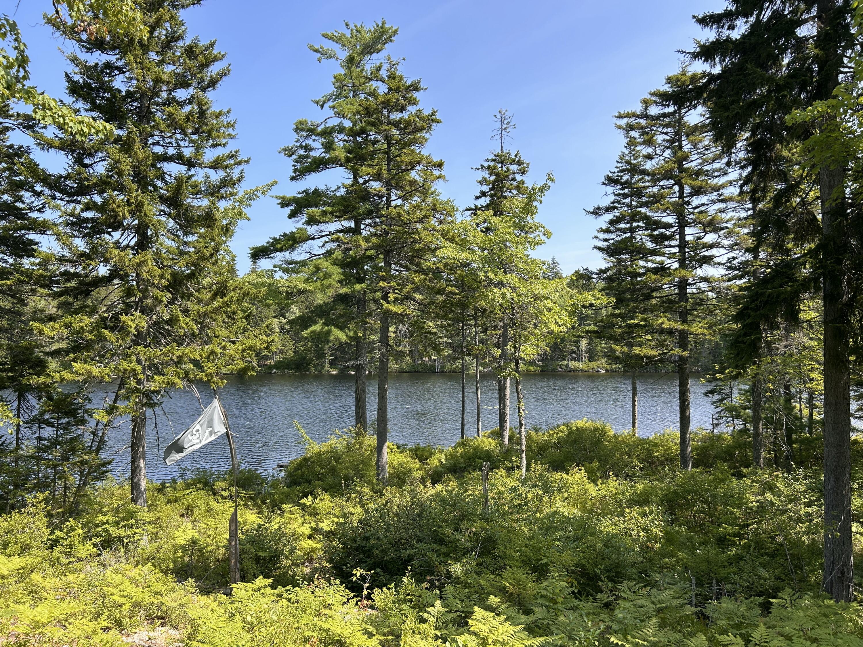 31 Sportsmen's Lodge Road, Marshfield, ME, 04654