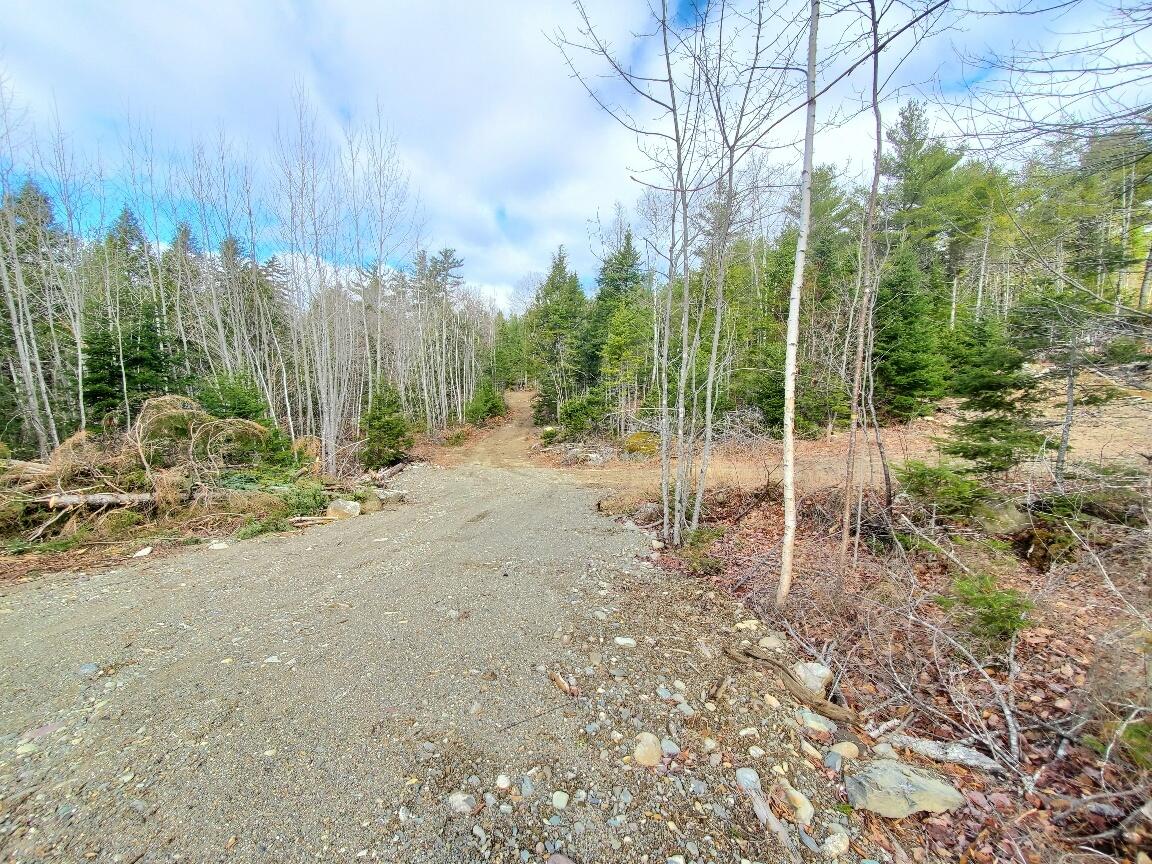 0 Pioneer Path UNIT Lot 5, Aurora, ME, 04408