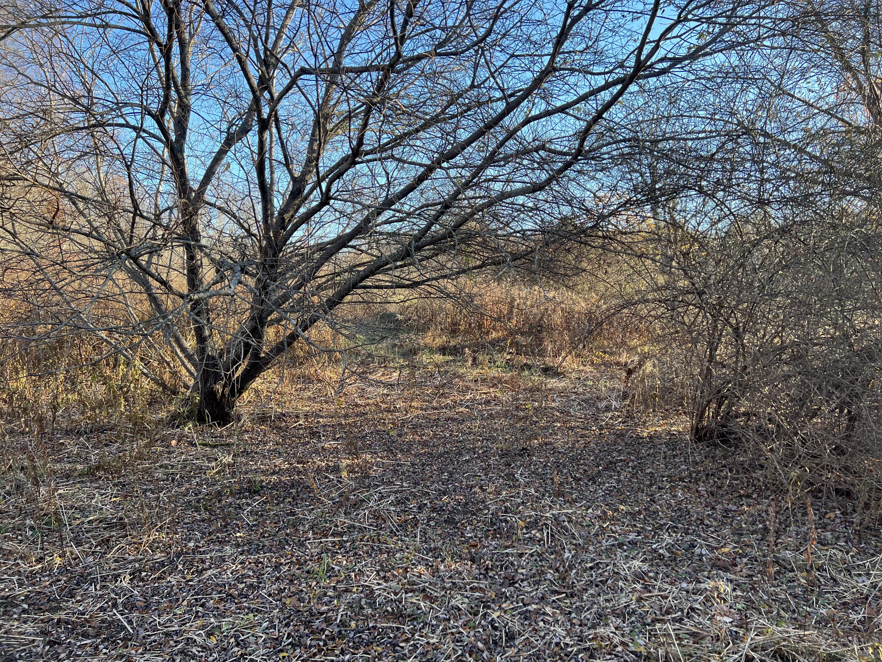 Lot UNIT&nbsp;B Winding Way, Rockport, ME, 04856