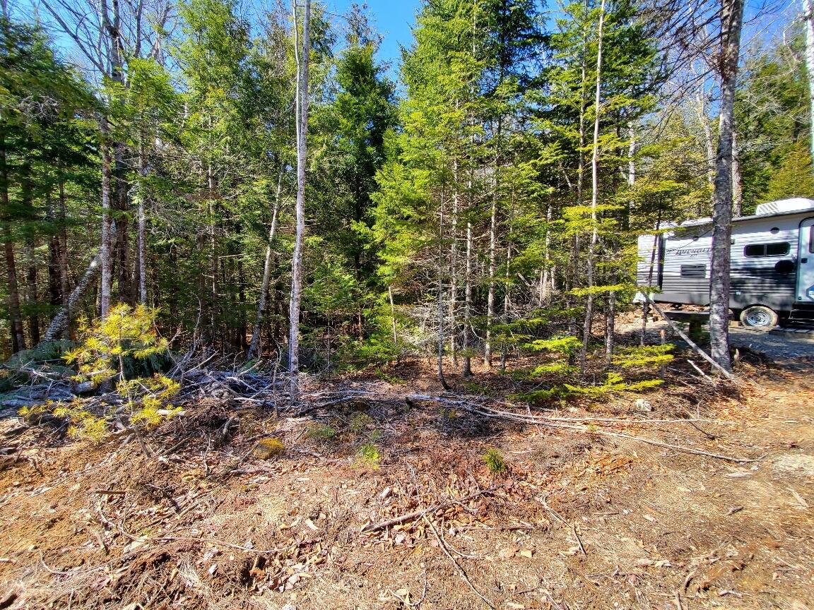 0 Pioneer Path UNIT Lot 5, Aurora, ME, 04408