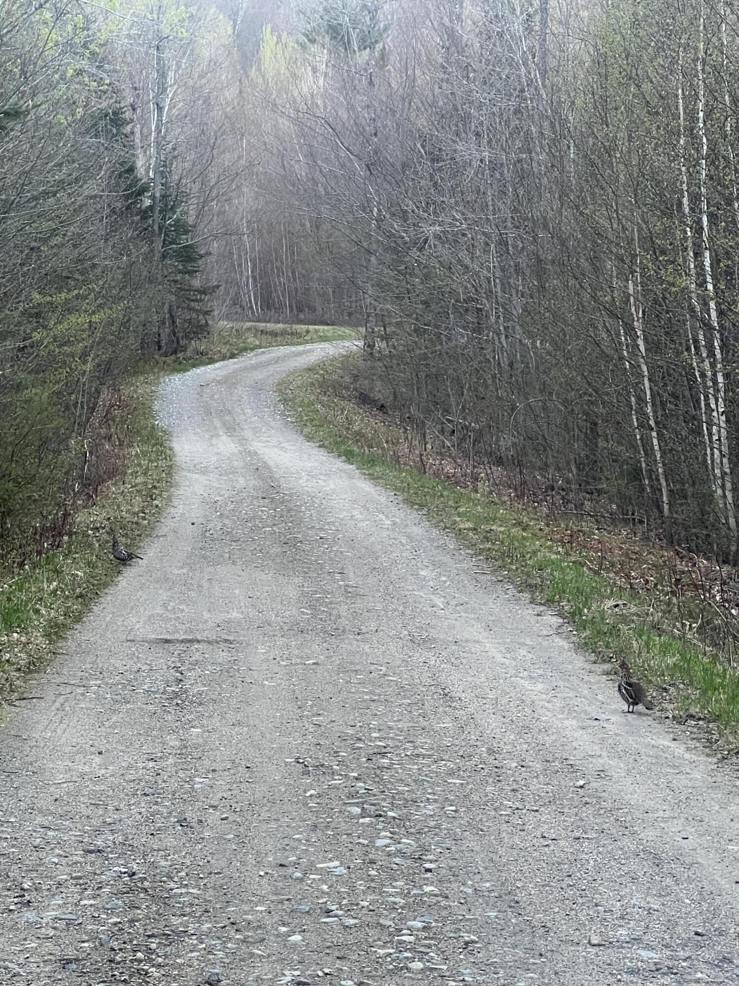 019 upper Bear Lane, Rumford, ME, 04276