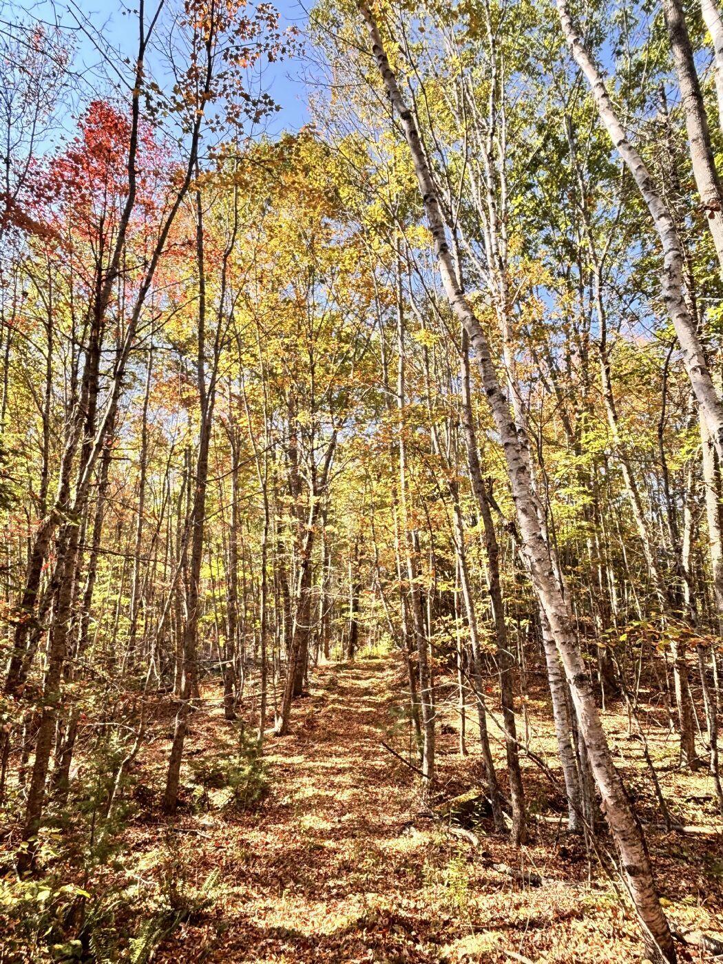 150 Bowden Point Road, Prospect, ME, 04981