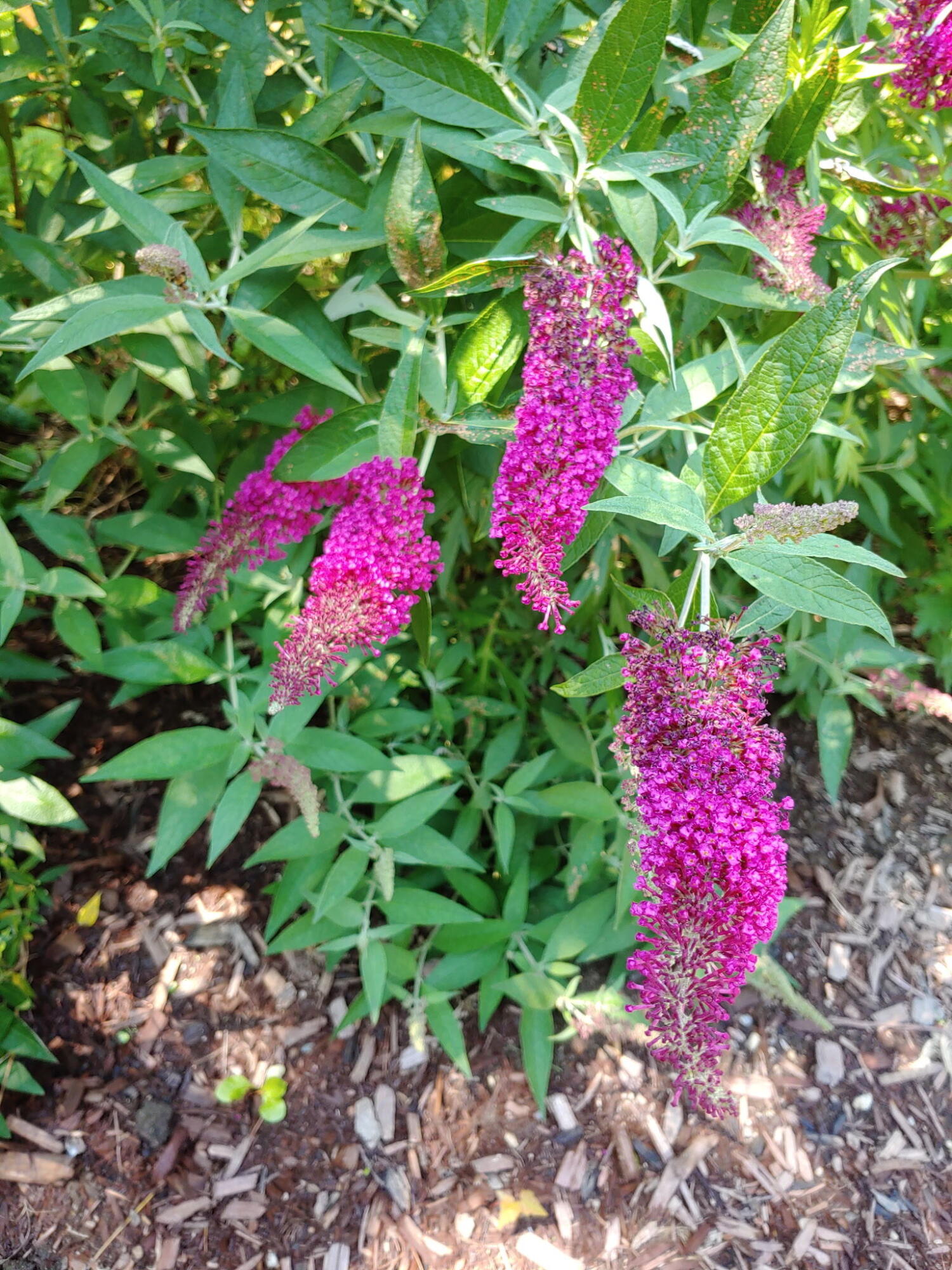 48 Pennell Avenue, Portland, ME, 04103