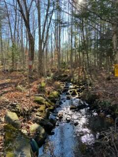 254 Eaton Road, Dexter, ME 04435 — photo 46