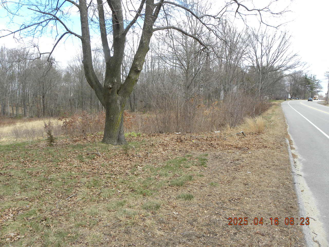 Search Homes for Sale