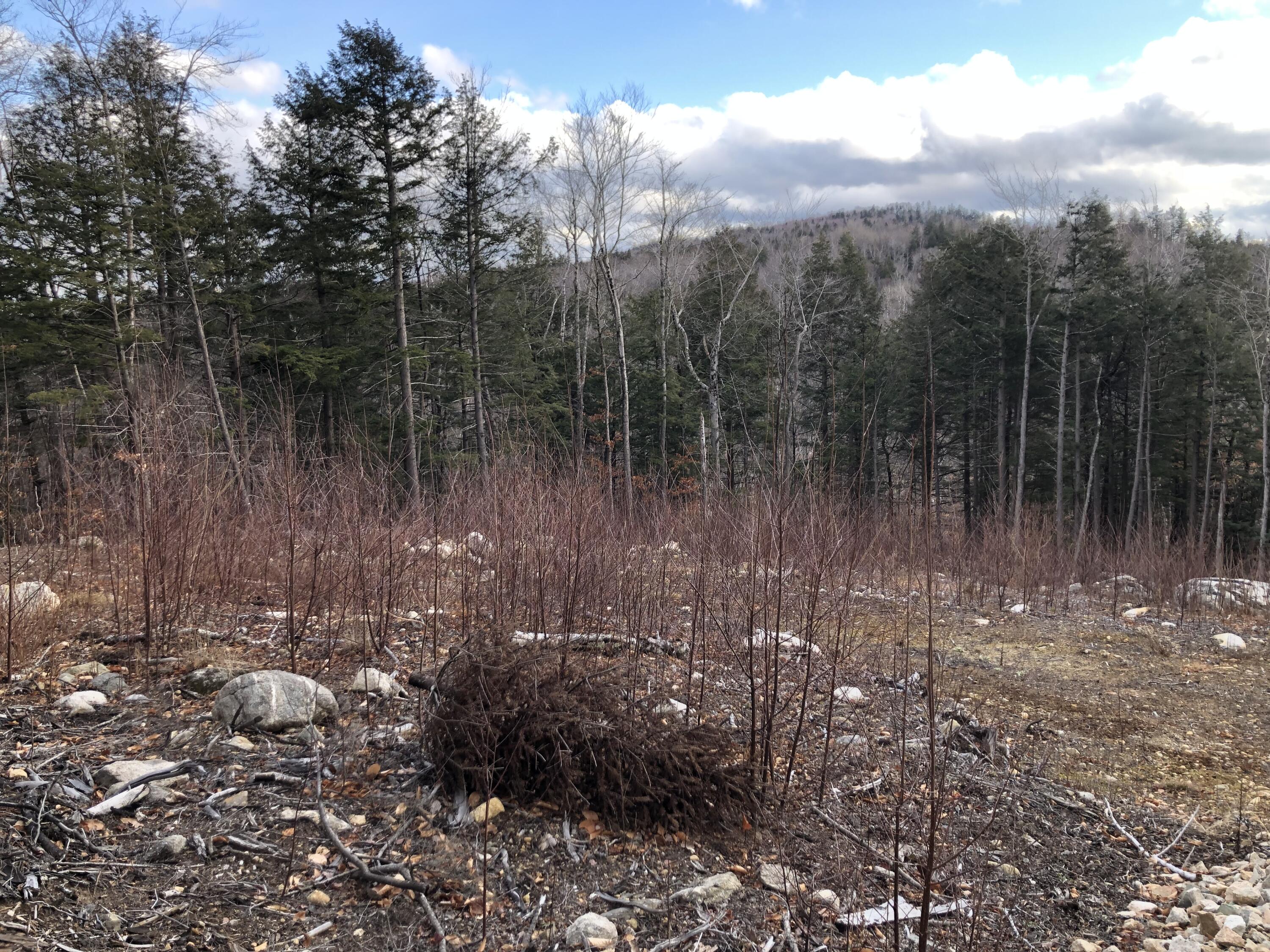 Lot 67 Snowbird Lane, Newry, ME, 04261