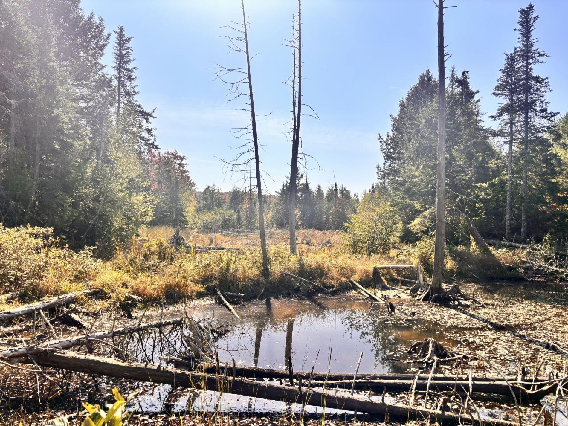 150 Bowden Point Road, Prospect, ME, 04981