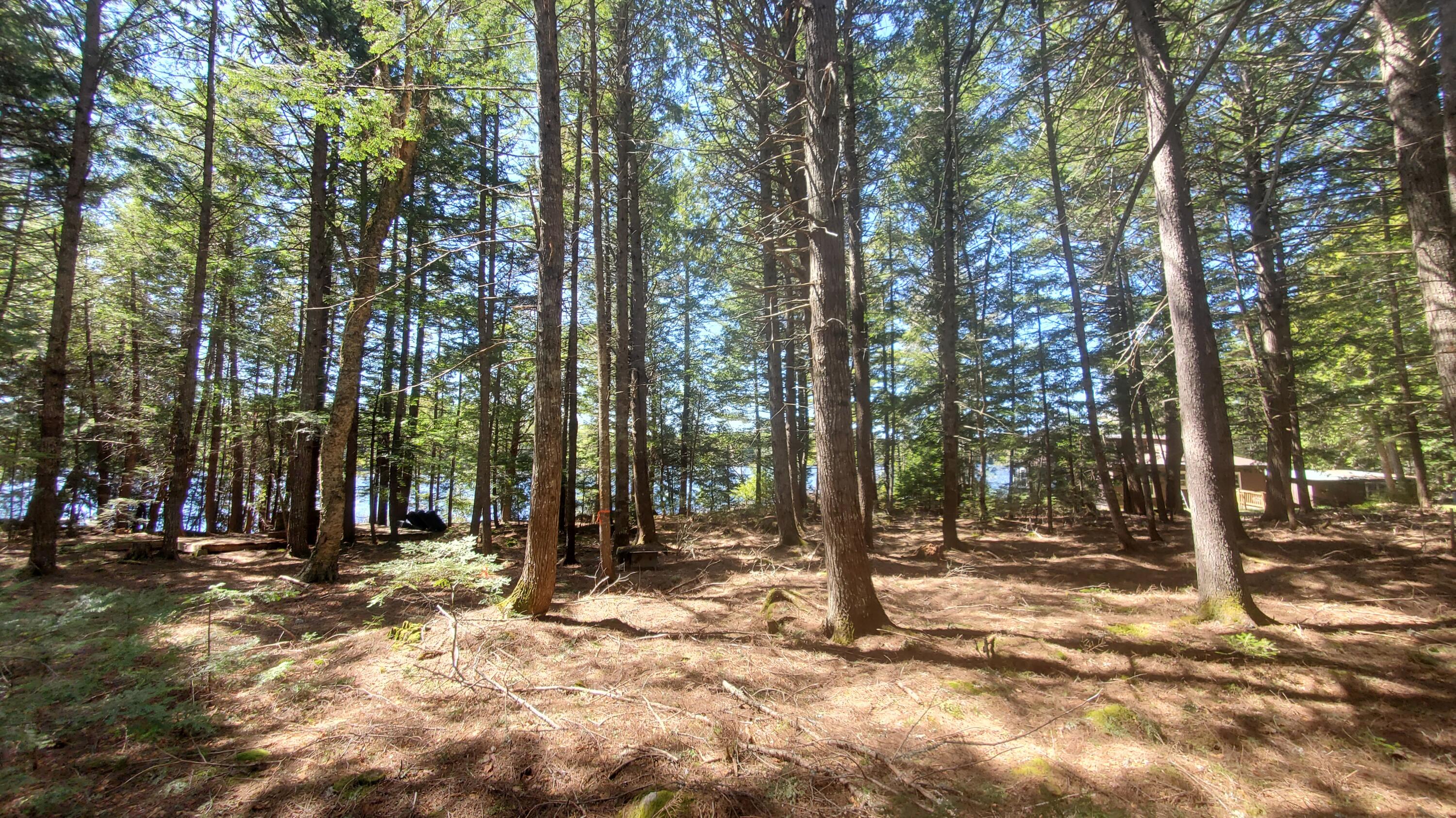 307 Lakeville Shores Road, Lakeville, ME, 04487