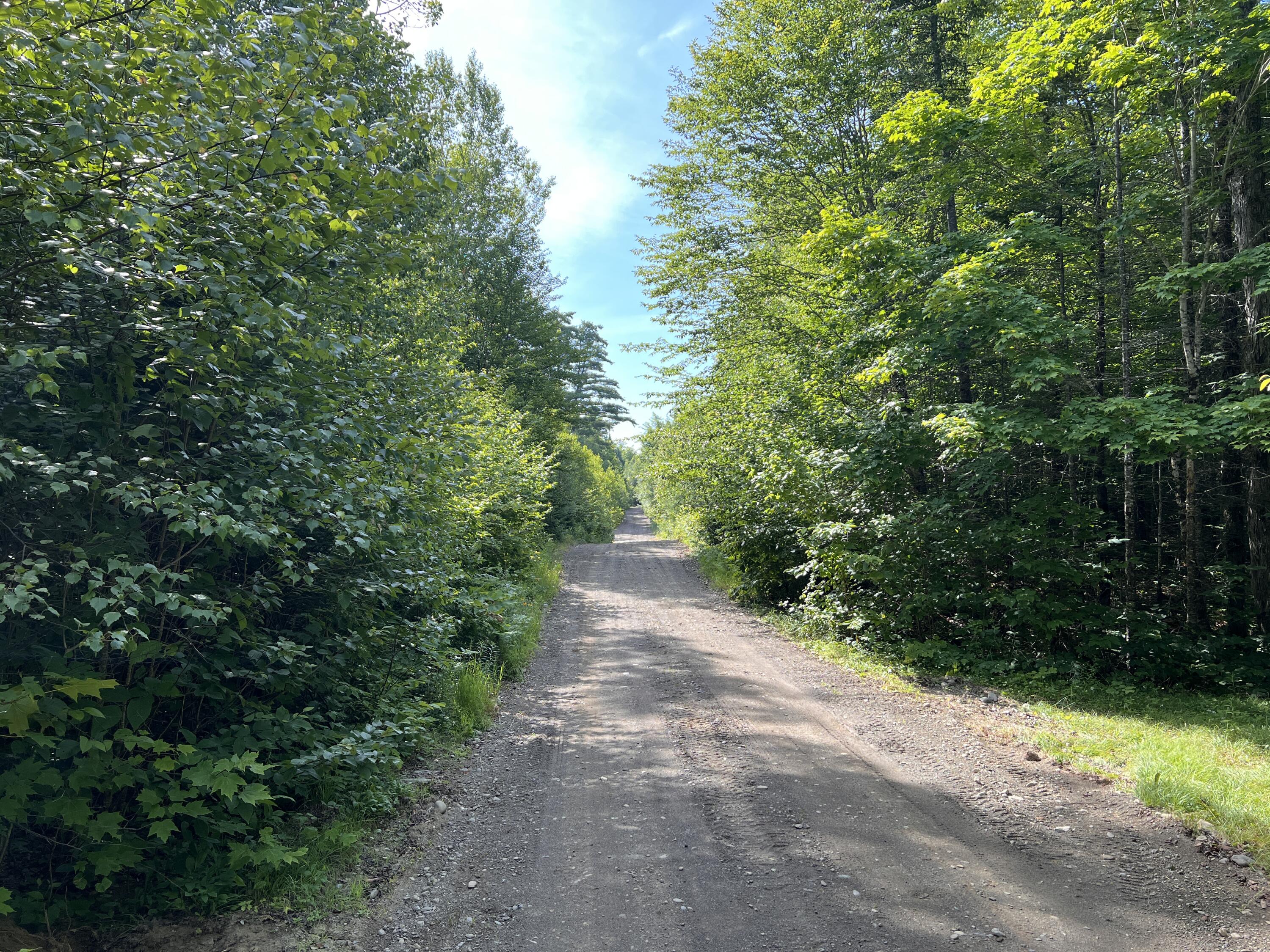 lot 6 & 8 Franklin Realty Road, Haynesville, ME 04497 Private Gravel Road Access