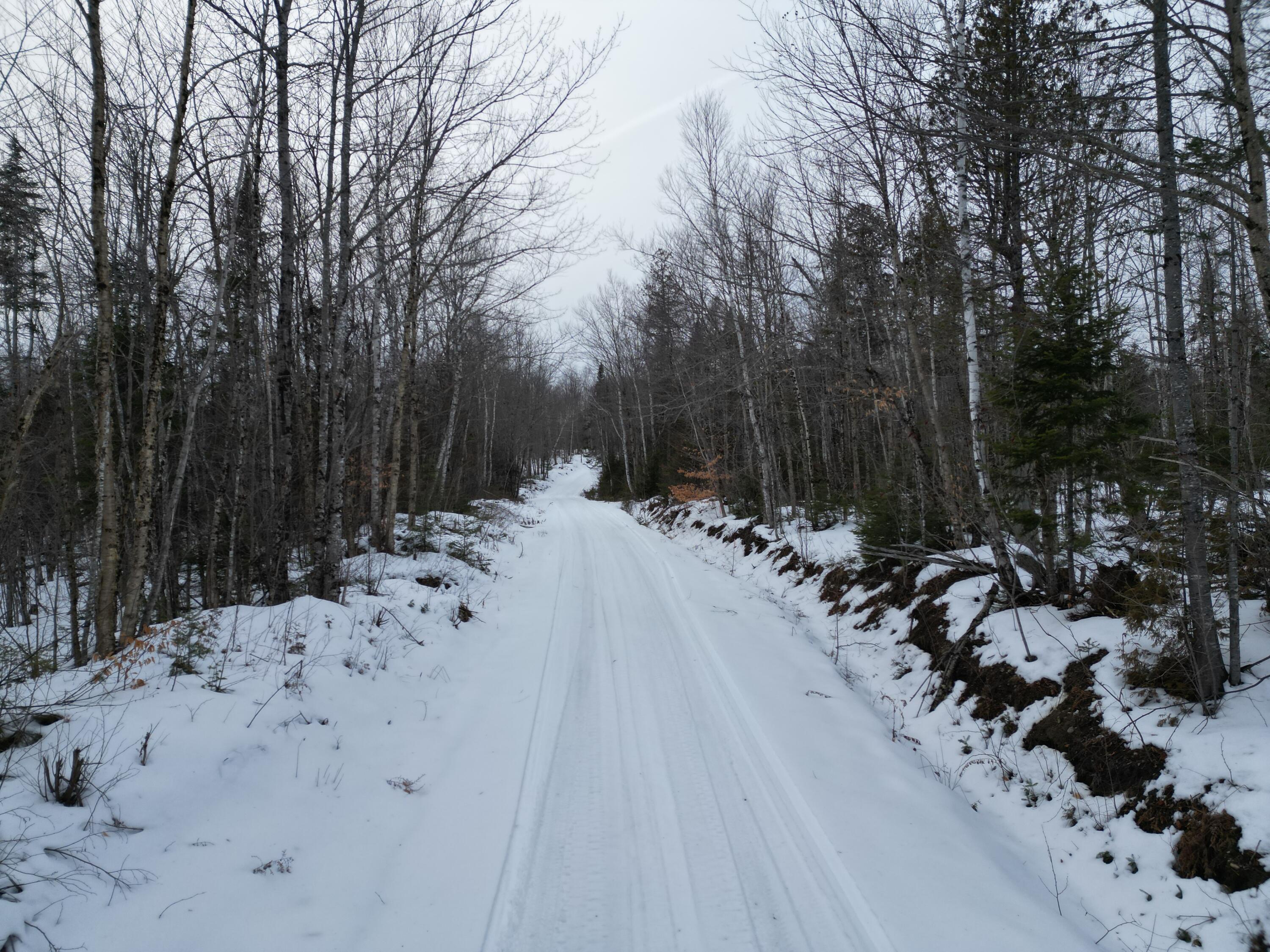 Lot 1 Moores Road, Springfield, ME, 04487