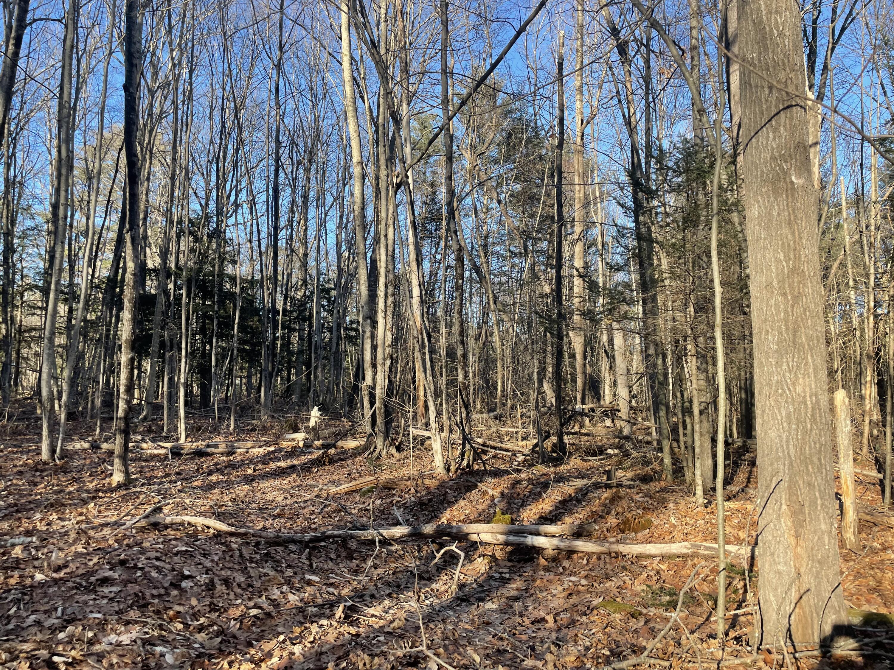 0 Cross Street, Manchester, ME, 04351