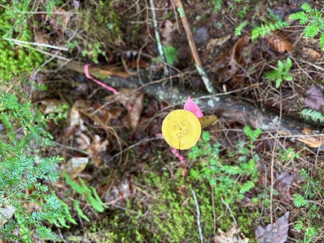 44A Trott Road Road, Woolwich, ME, 04579