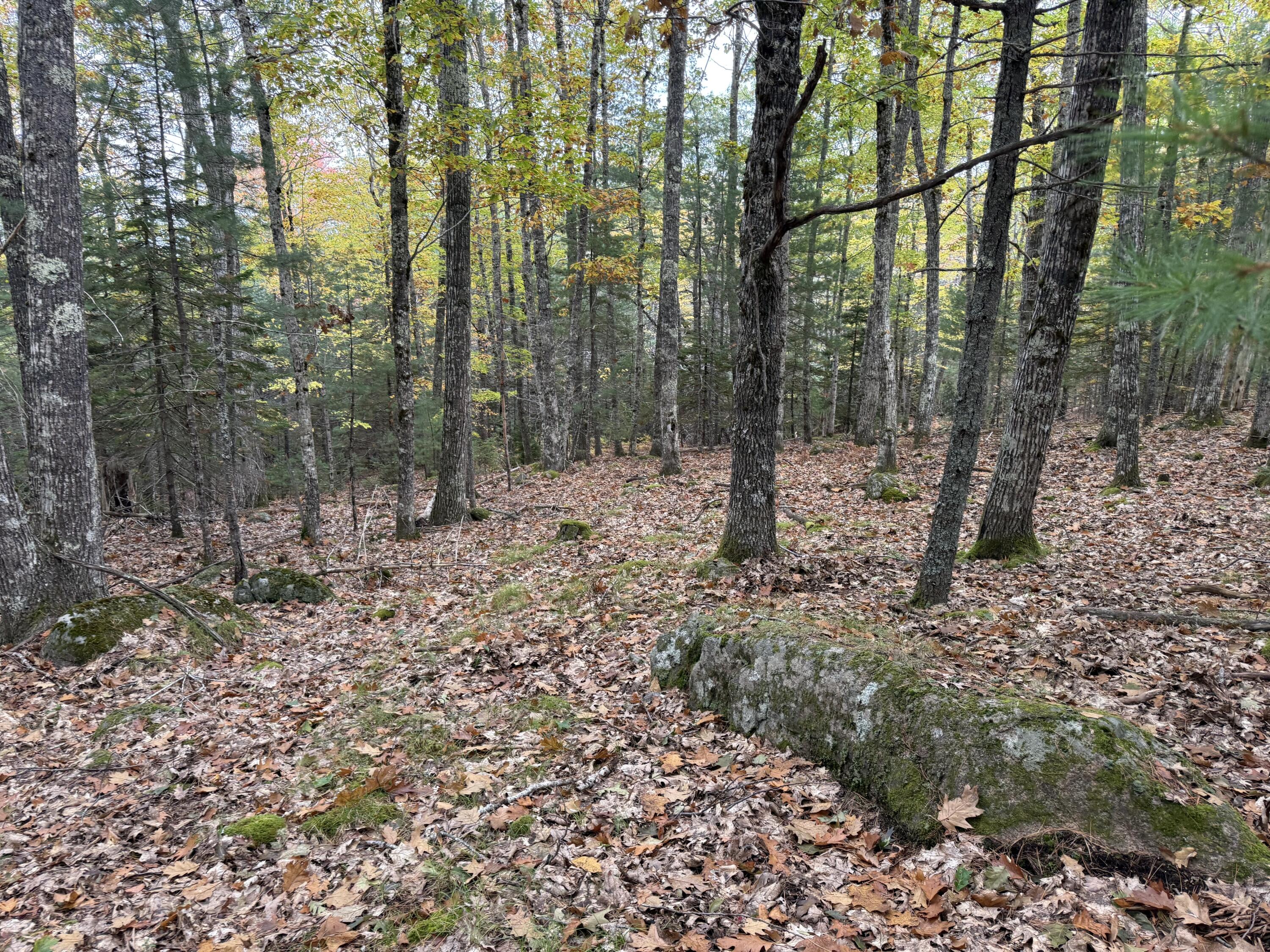 63-3 Oak Grove Road, Mount Desert, ME, 04660