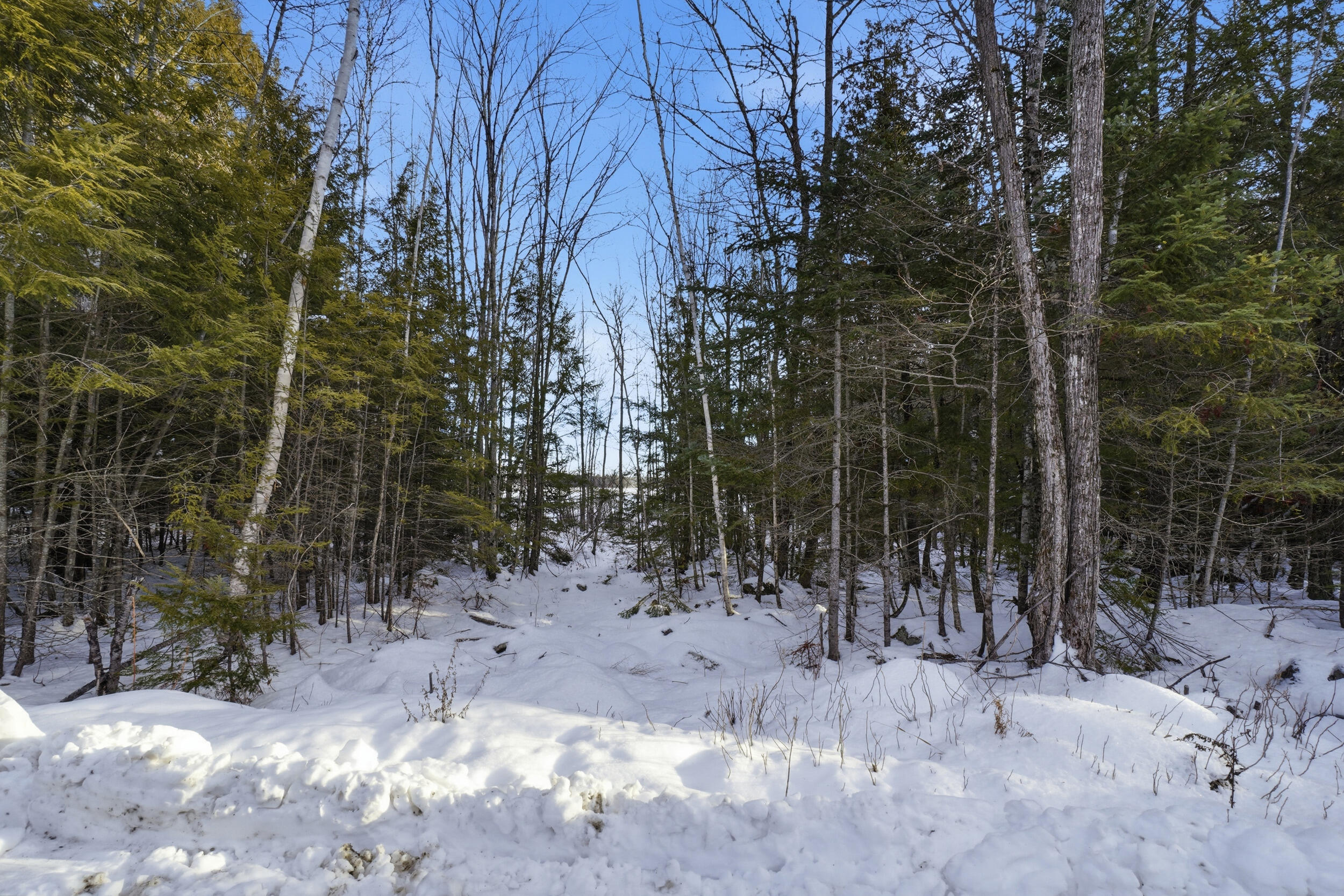 Lot 113-2 Cushman Road, Winslow, ME, 04901