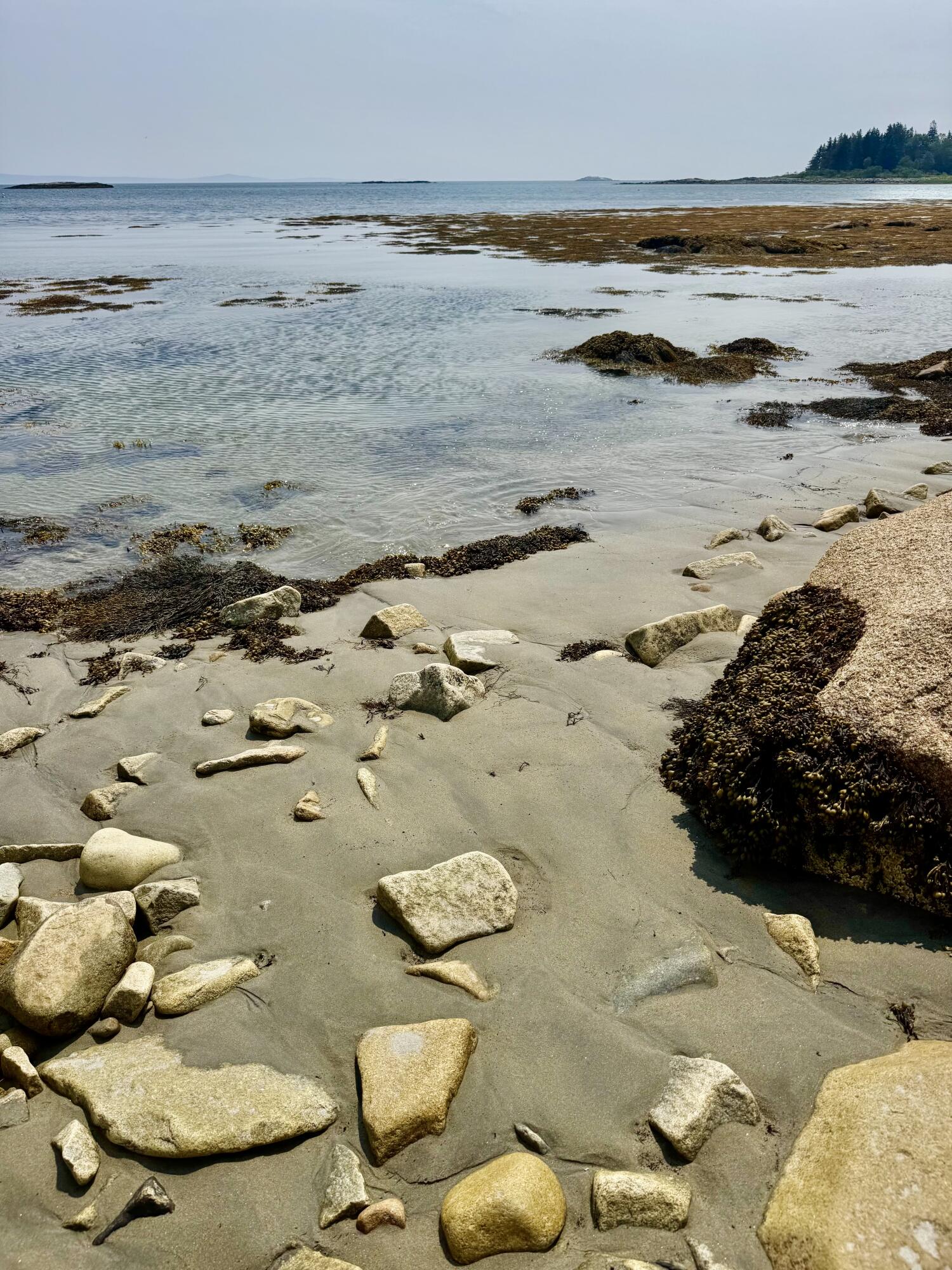 Lot UNIT&nbsp;5 George Wright Road, Vinalhaven, ME, 04863