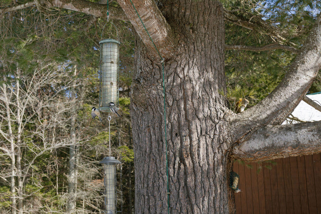 27 Prairie Road, Salem Twp, ME, 04983