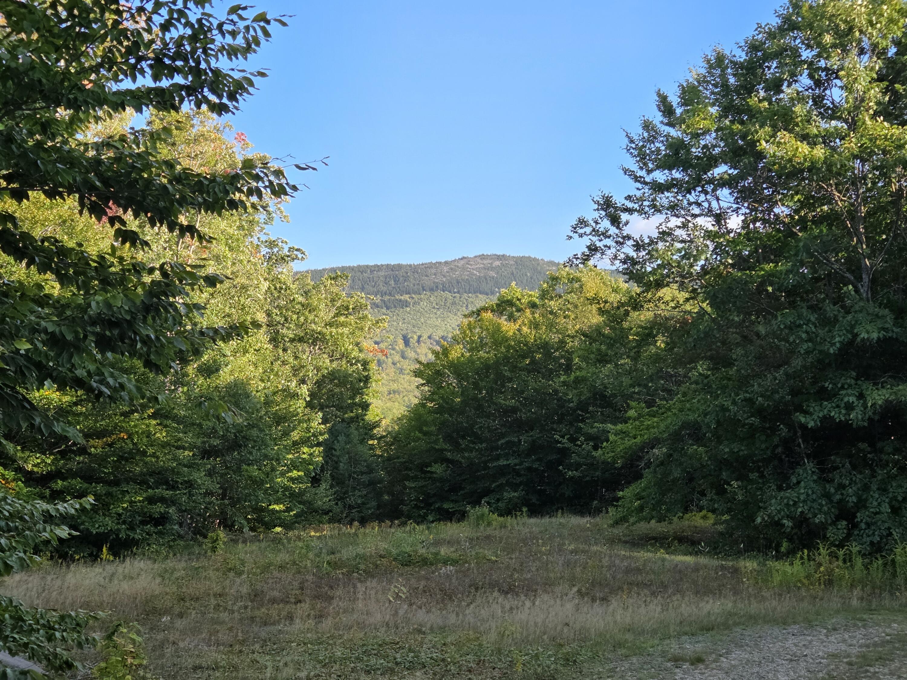 Photo of 1155 Dickvale Road Peru ME 04290
