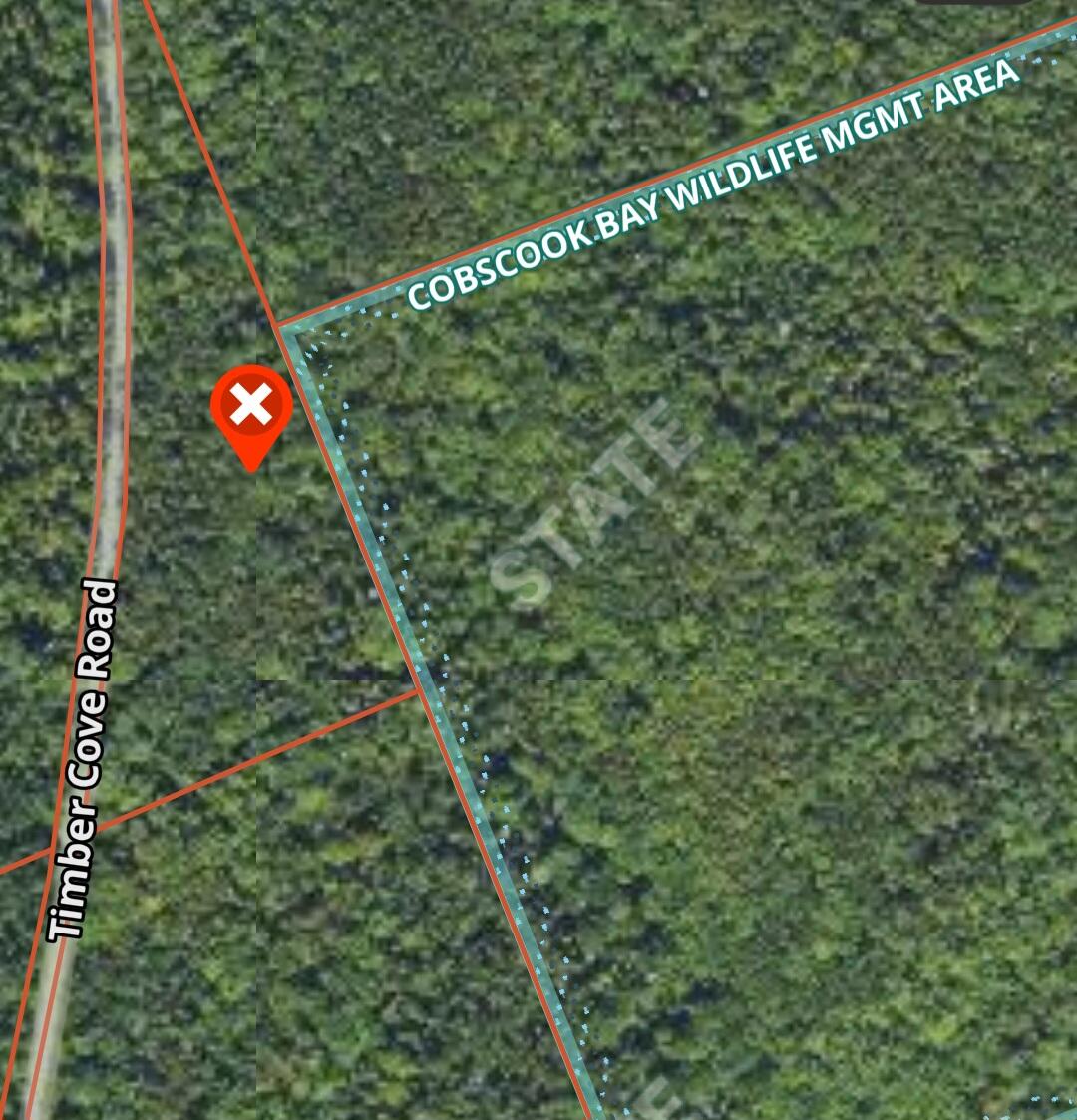 WA032 01 4 Timber Cove Road, Trescott Twp, ME, 04652