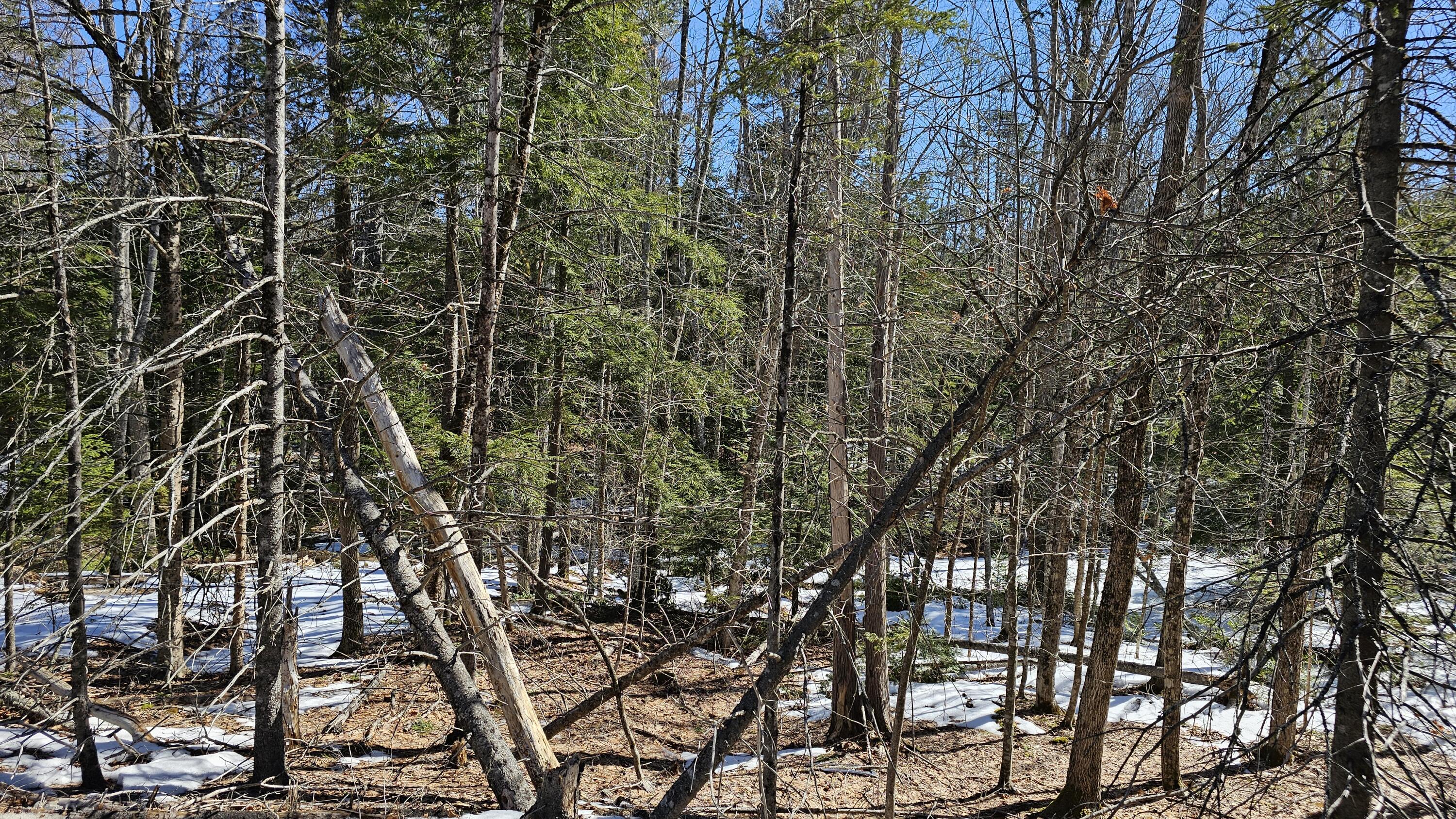 41-000-000 Kidder Hill Road, Holden, ME, 04429