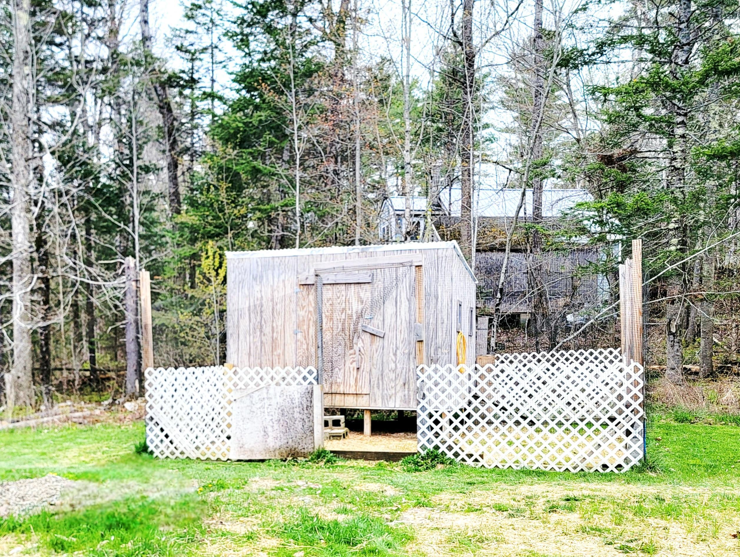 Large Chicken Coop