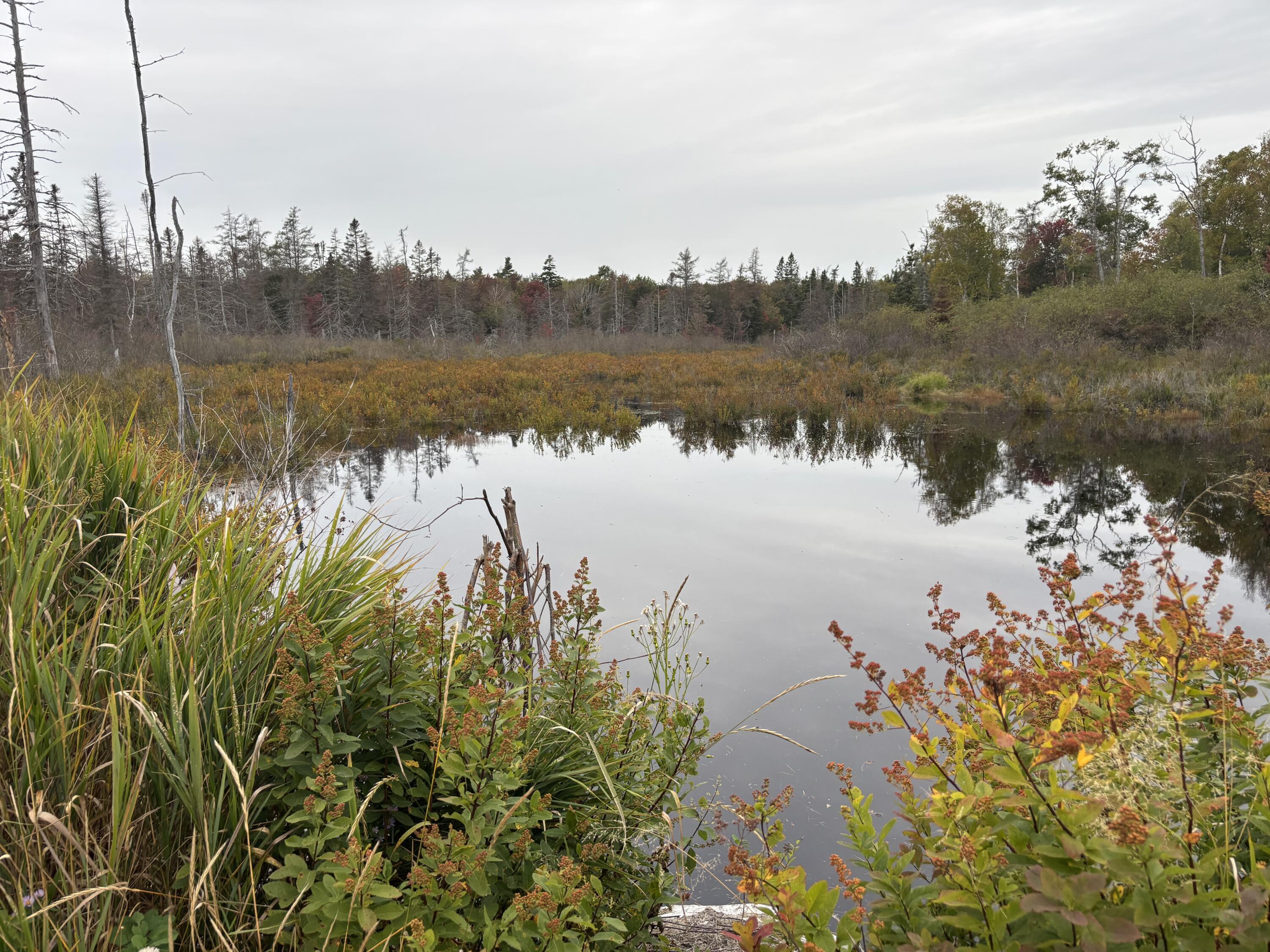 M17L21 Basin Road, Addison, ME, 04606