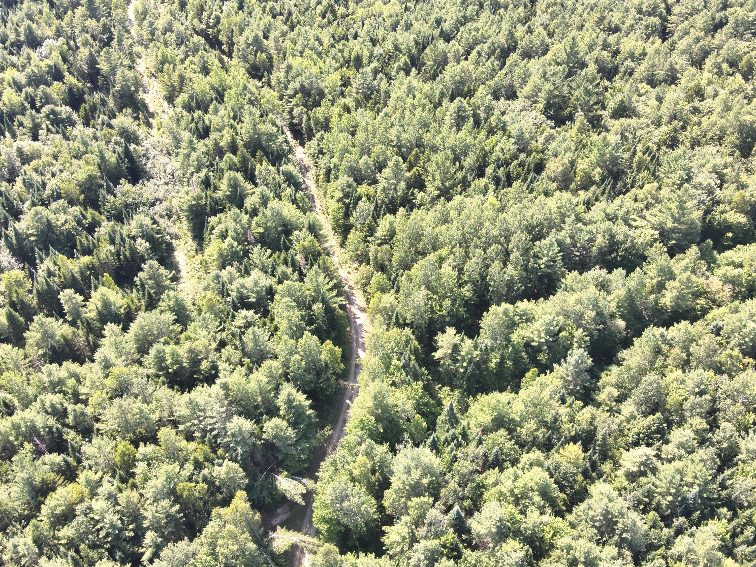 279 East Branch Road, Seboeis Plt, ME, 04448