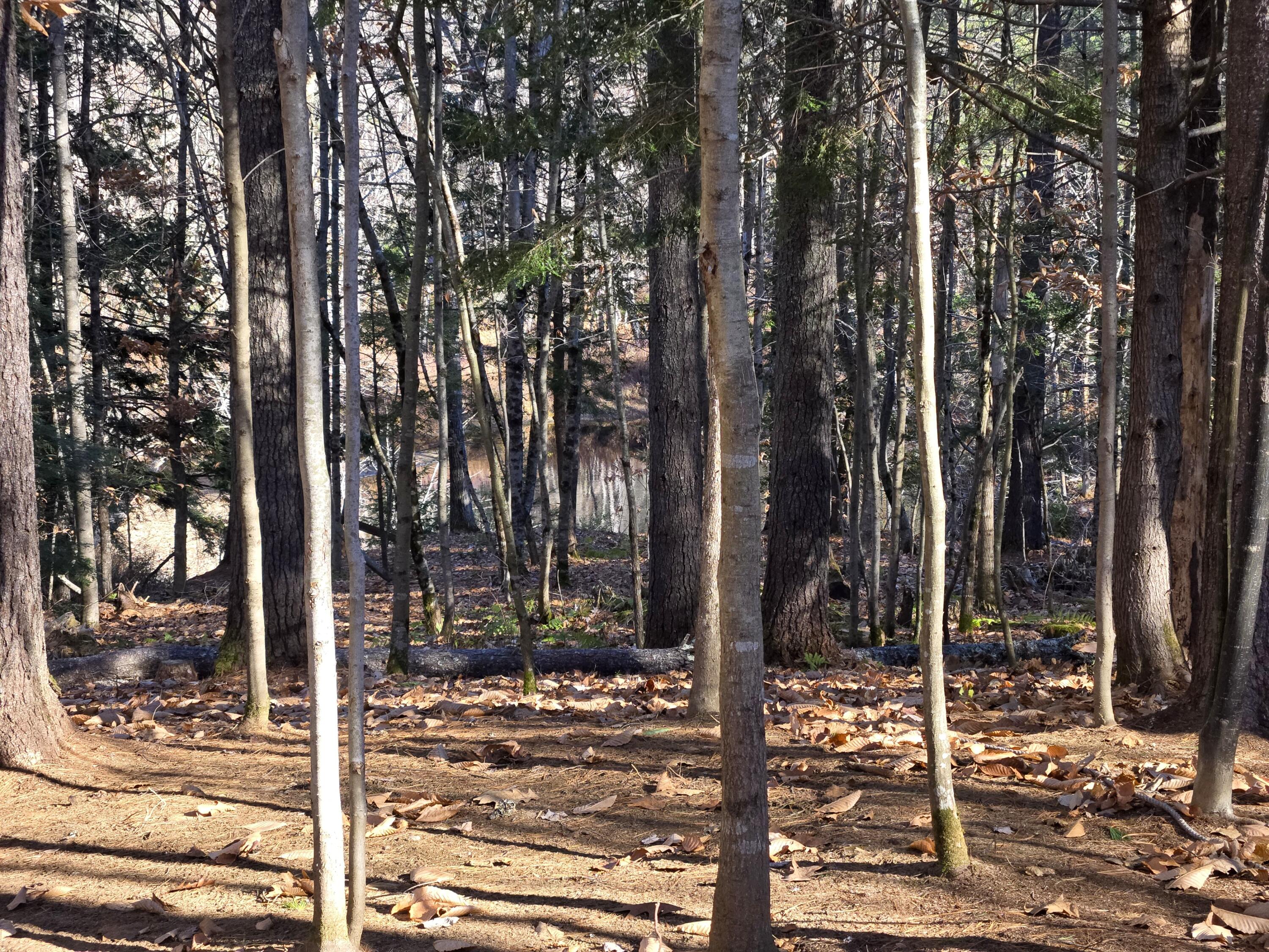 31 Sand Road, Naples, ME, 04055