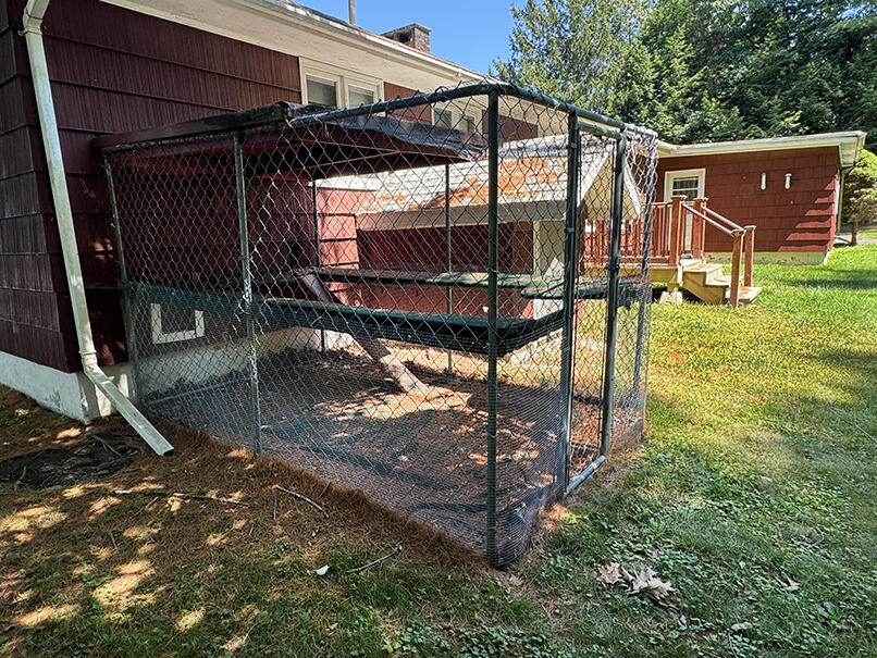 PET SECURITY PEN