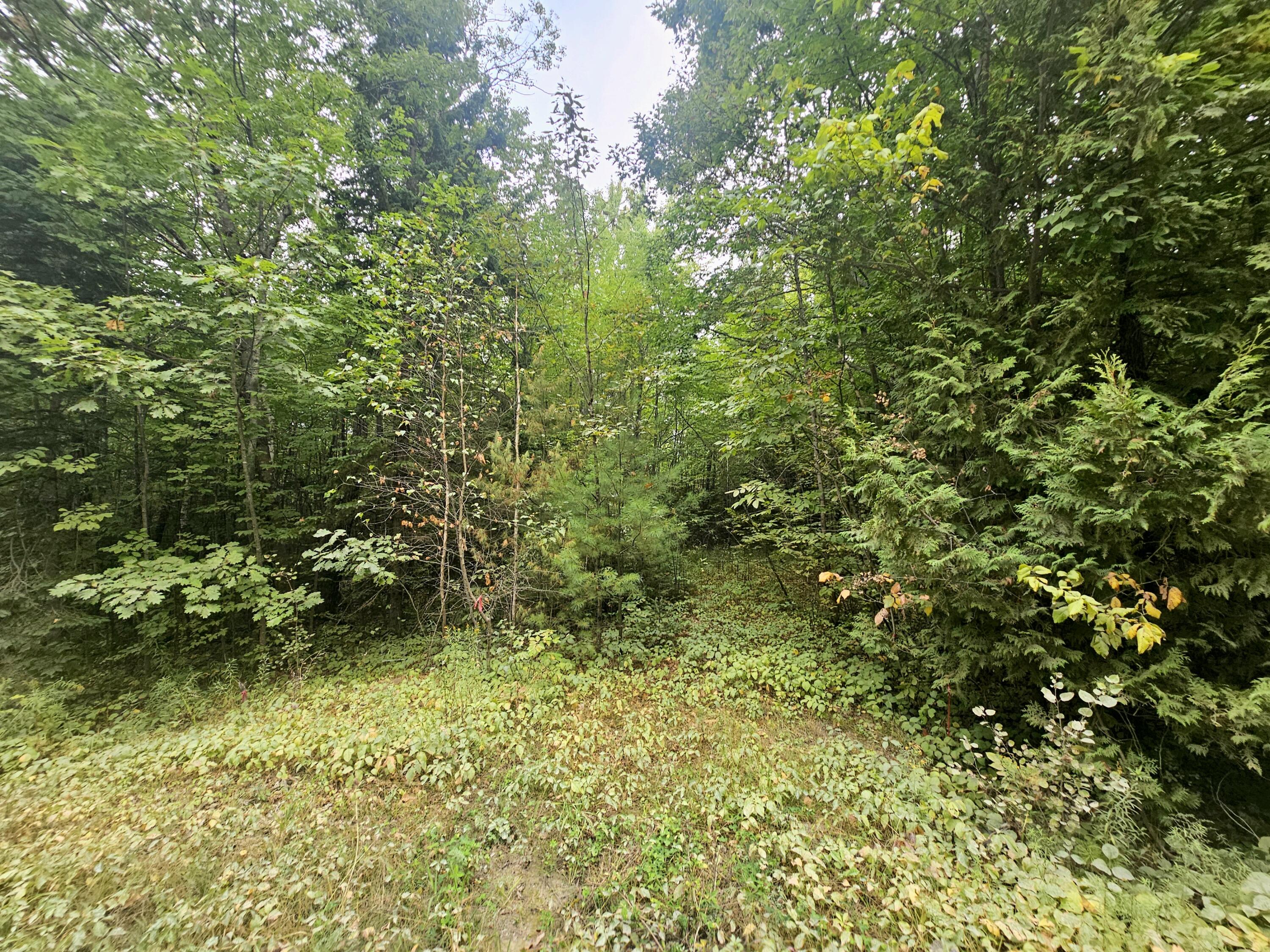 596 Clark Road, Plymouth, ME, 04969