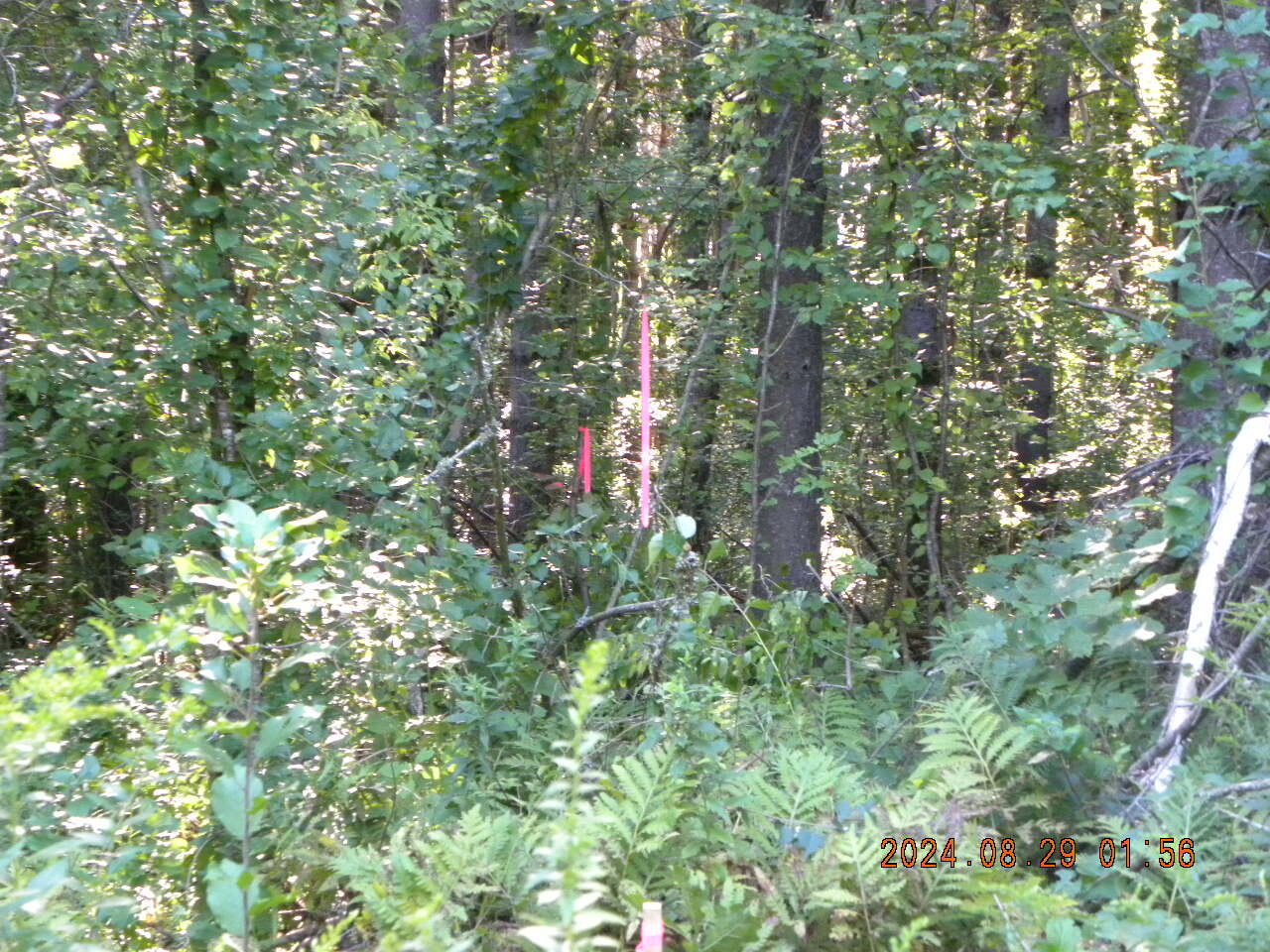 Lot A Bernier Road, Sanford, ME, 04073