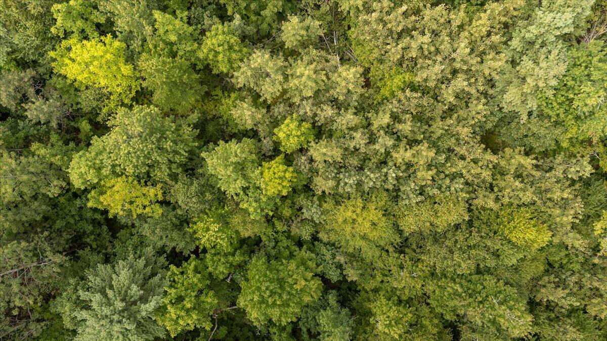 Part of Map 7 Lot 48-A Nelson Ridge Road S, Washington, ME, 04574