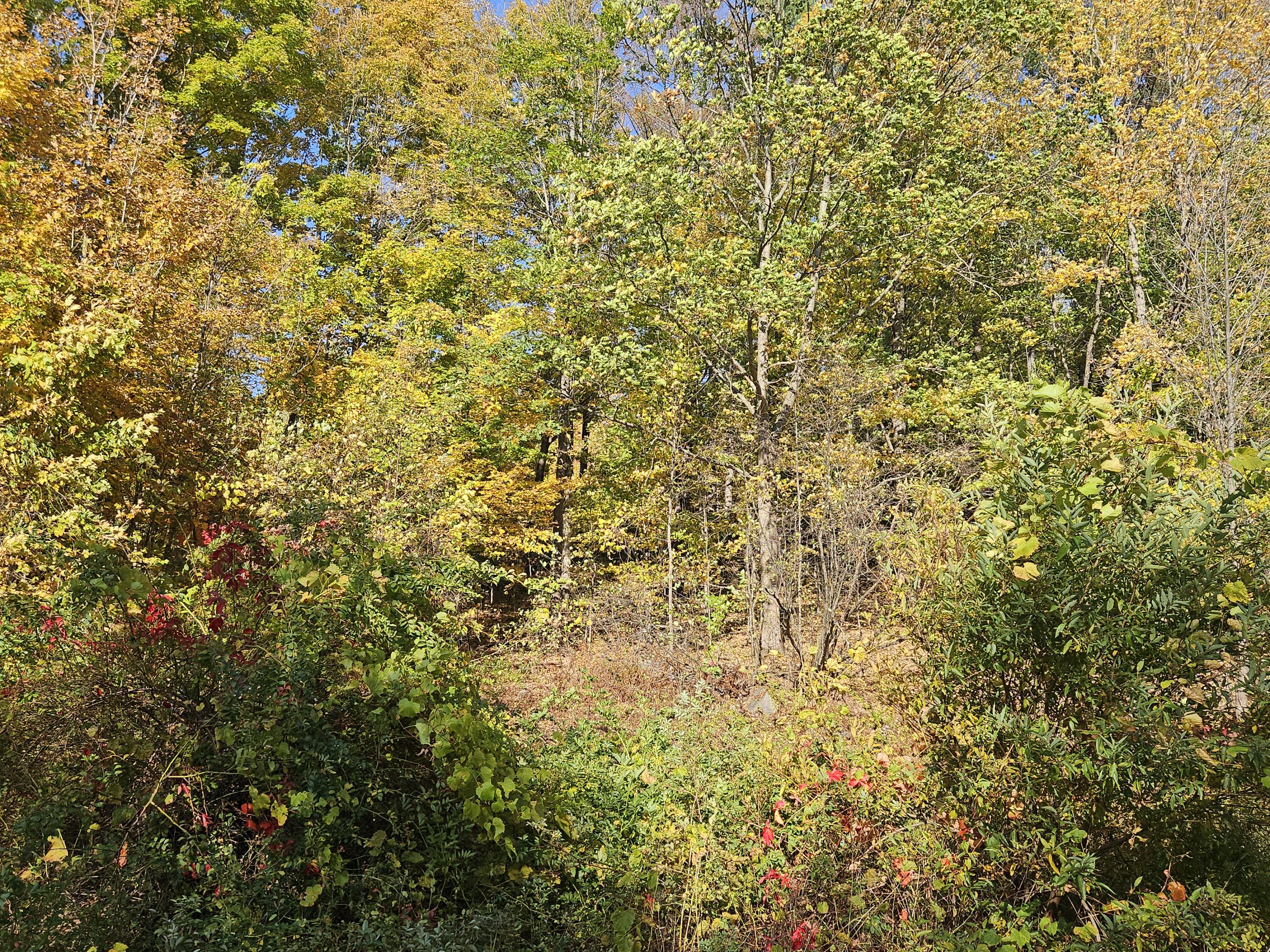 R-5 13-A Norton Hill Road, Strong, ME, 04983