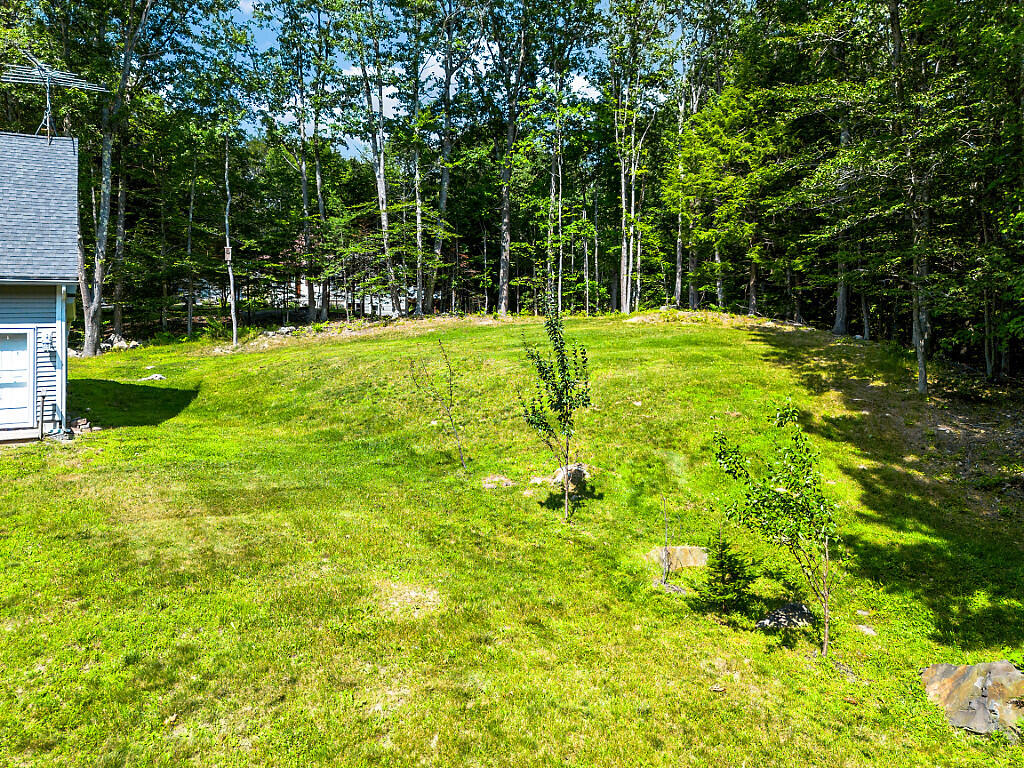 63_DJI_0233_DxO_mls