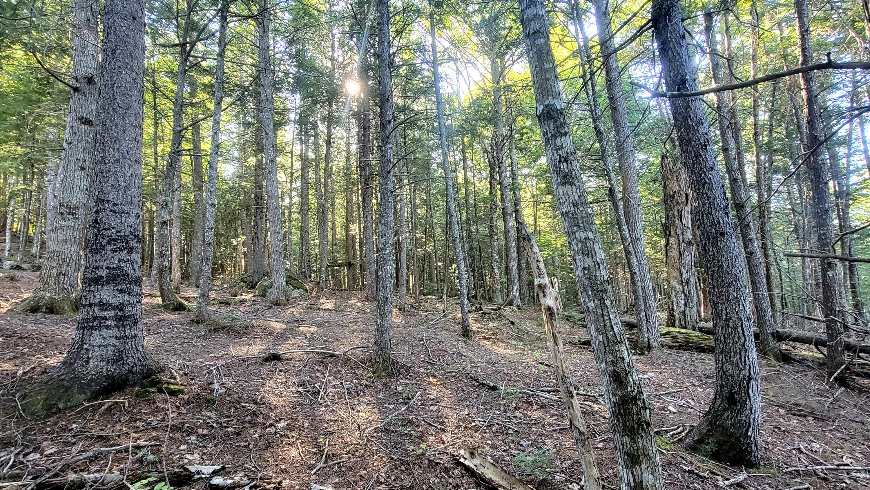 T1R8 WELS Millinocket Lake, Millinocket, ME, 04462