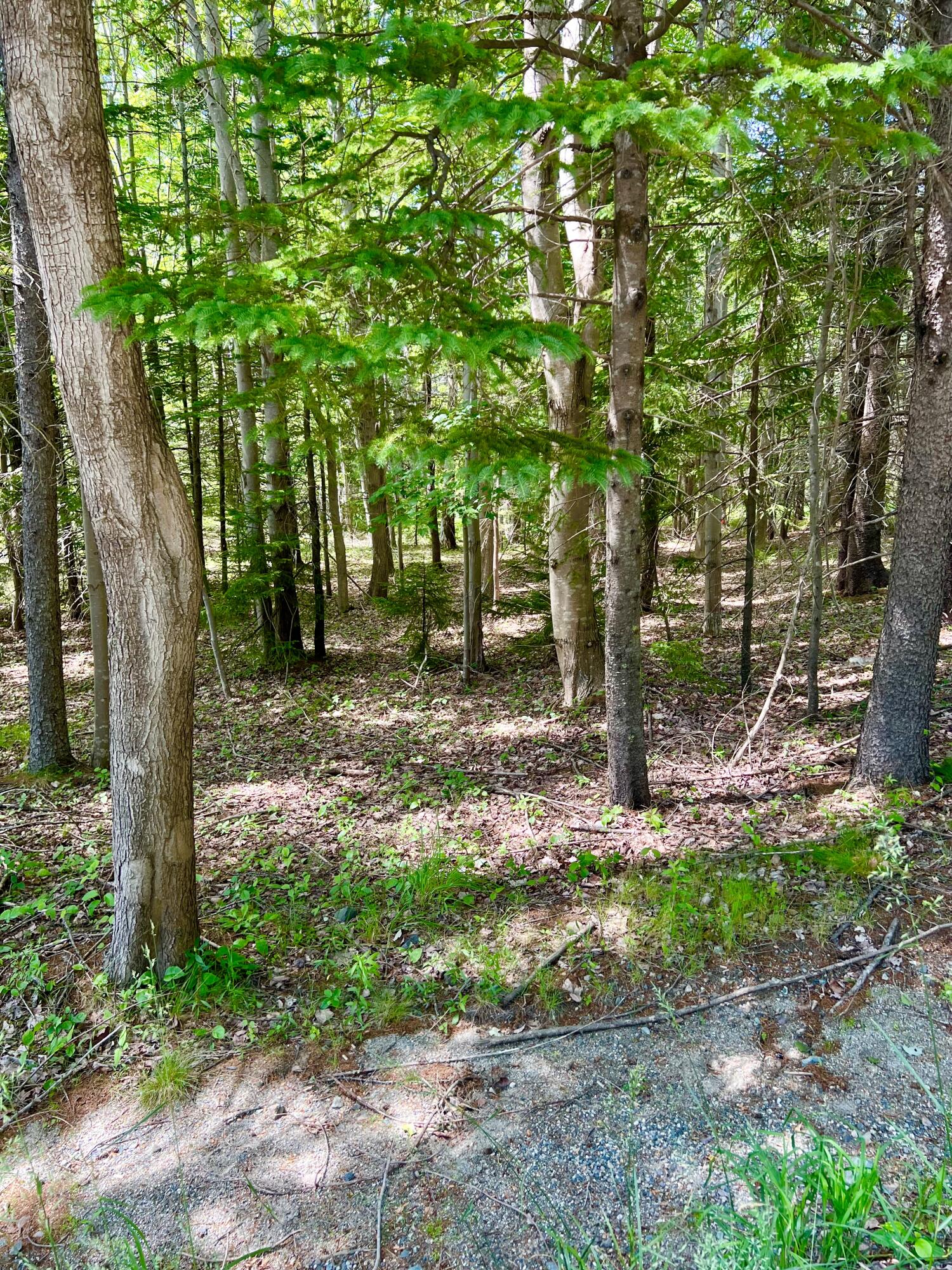 142 Seal Cove Road, Southwest Harbor, ME, 04679