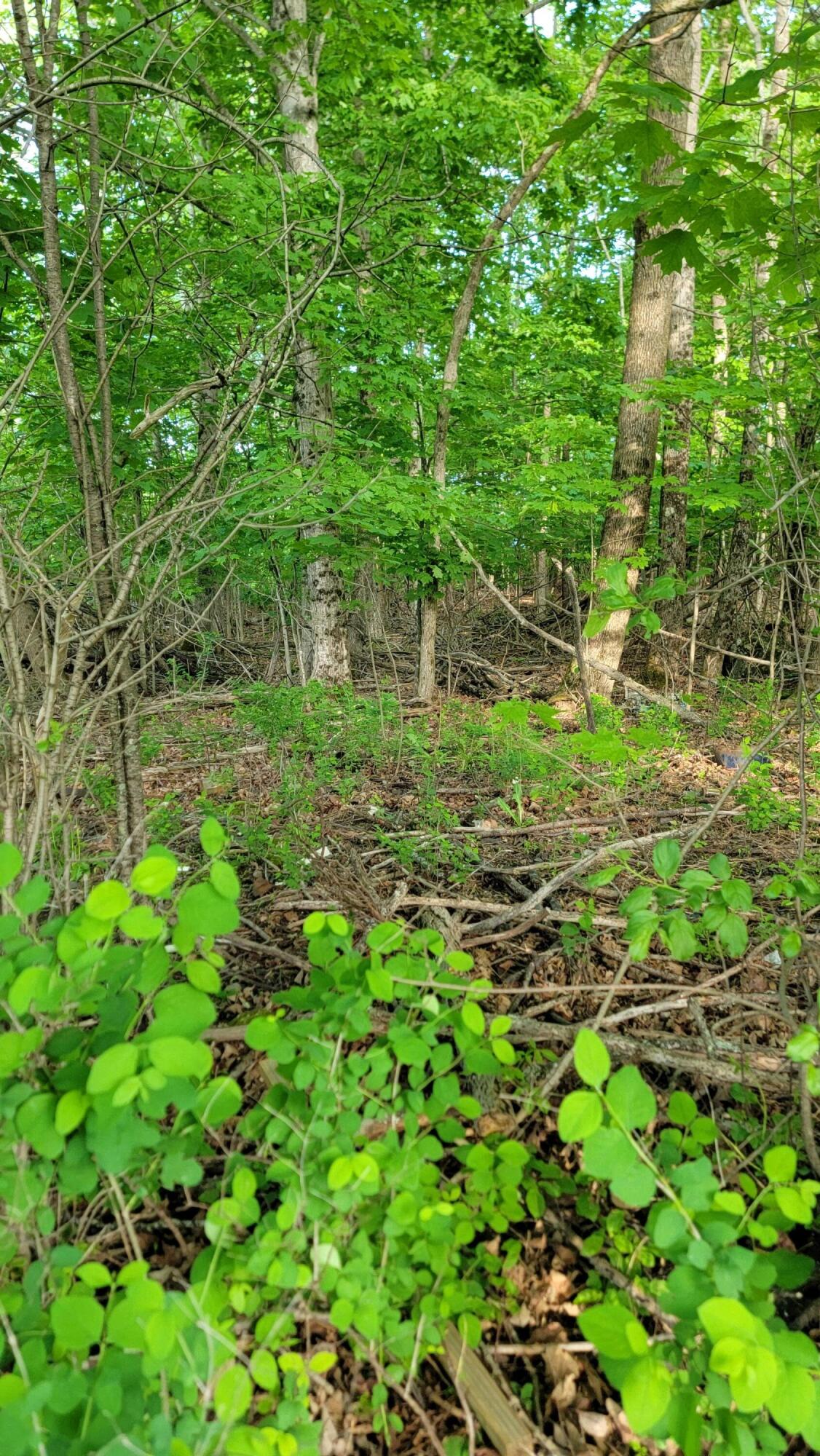 UNIT&nbsp;26&27 Main Street, Calais, ME, 04619