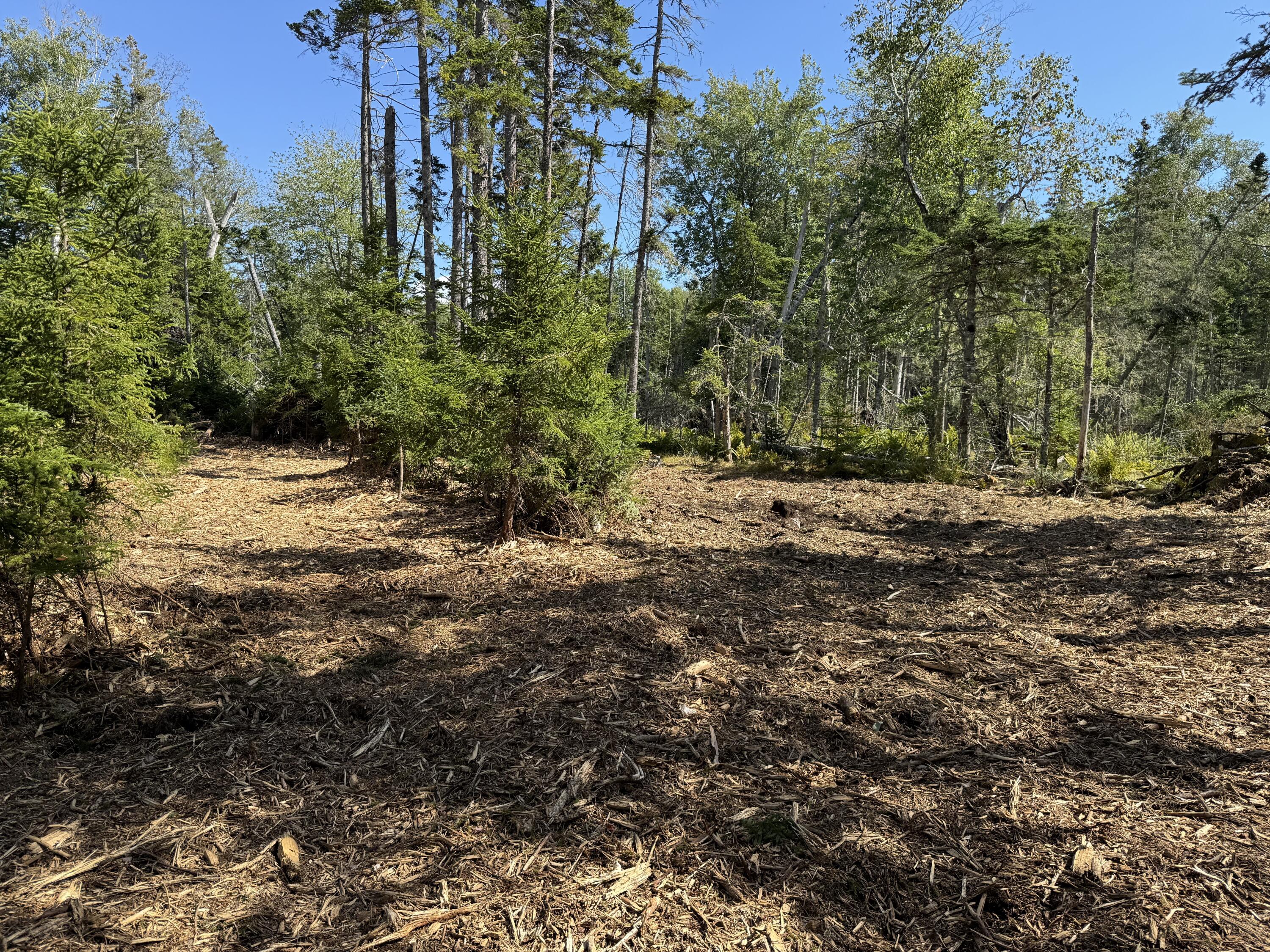 1552 Turtle Head Road, Islesboro, ME, 04848