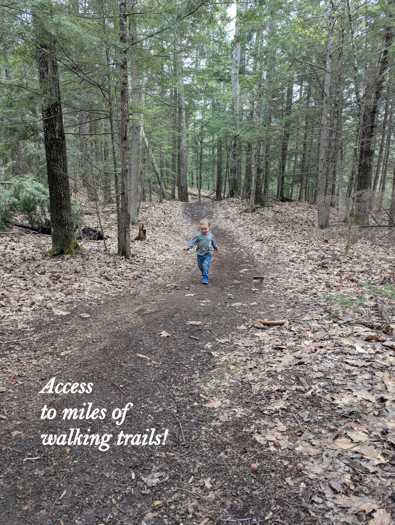 1 Cortland Place UNIT 7, Standish, ME, 04084