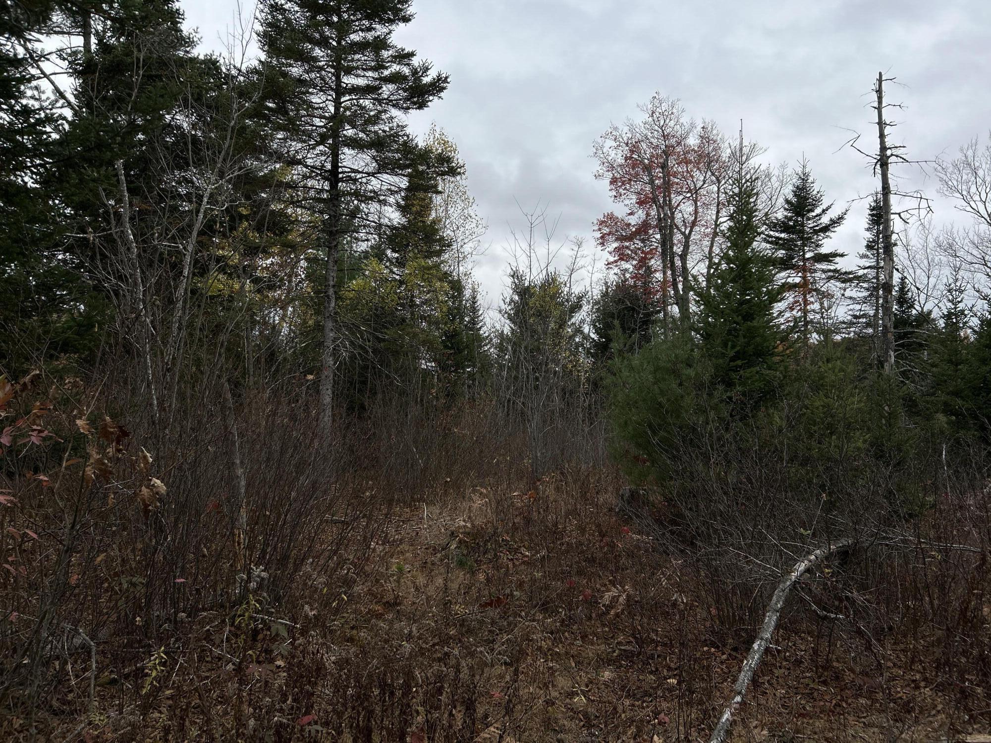 M4L18 Bog Road, Jackson, ME, 04921