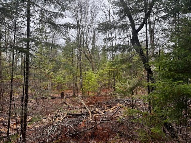 SO 001 Plan 2 Lot 16.1 Long Falls Dam Road, Lexington Twp, ME, 04961