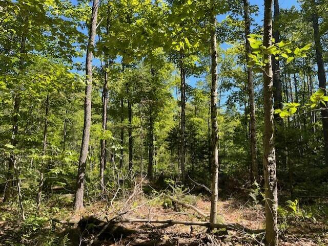 Lot 045 Sawyer Notch Road, Andover, ME, 04216