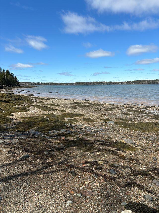 Lot 17A Yoho Head Road, Machiasport, ME, 04655