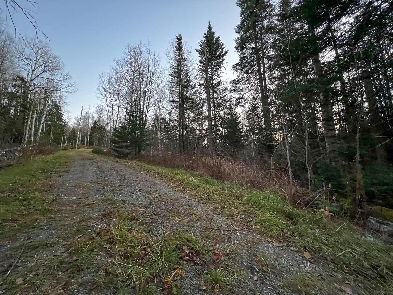 Lot 16 Mill Brook Road, Sandy River Plt, ME, 04970