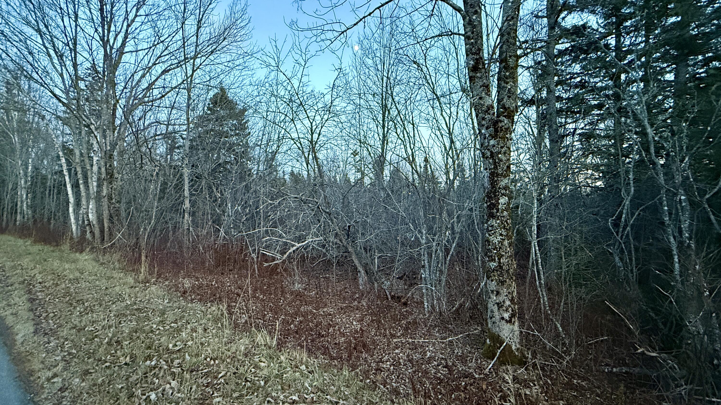 28.4 Wilcox Road, Trescott Twp, ME, 04652