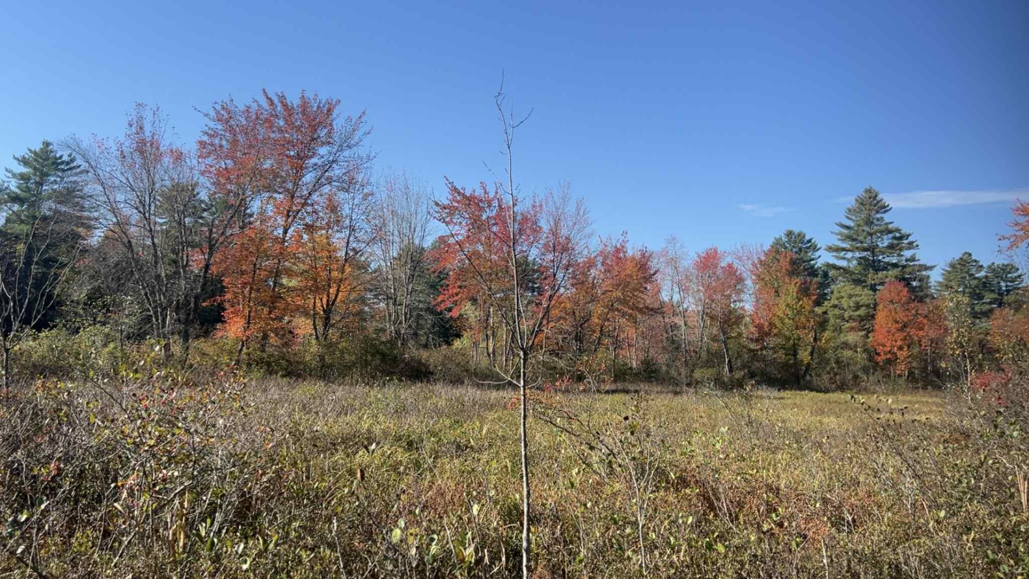 122 Ossipee Trail, Porter, ME, 04068