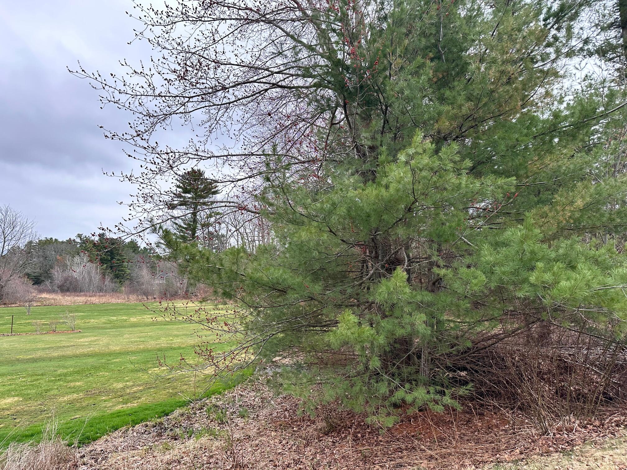 Lot 40-1 Sevigny Avenue, Biddeford, ME, 04005