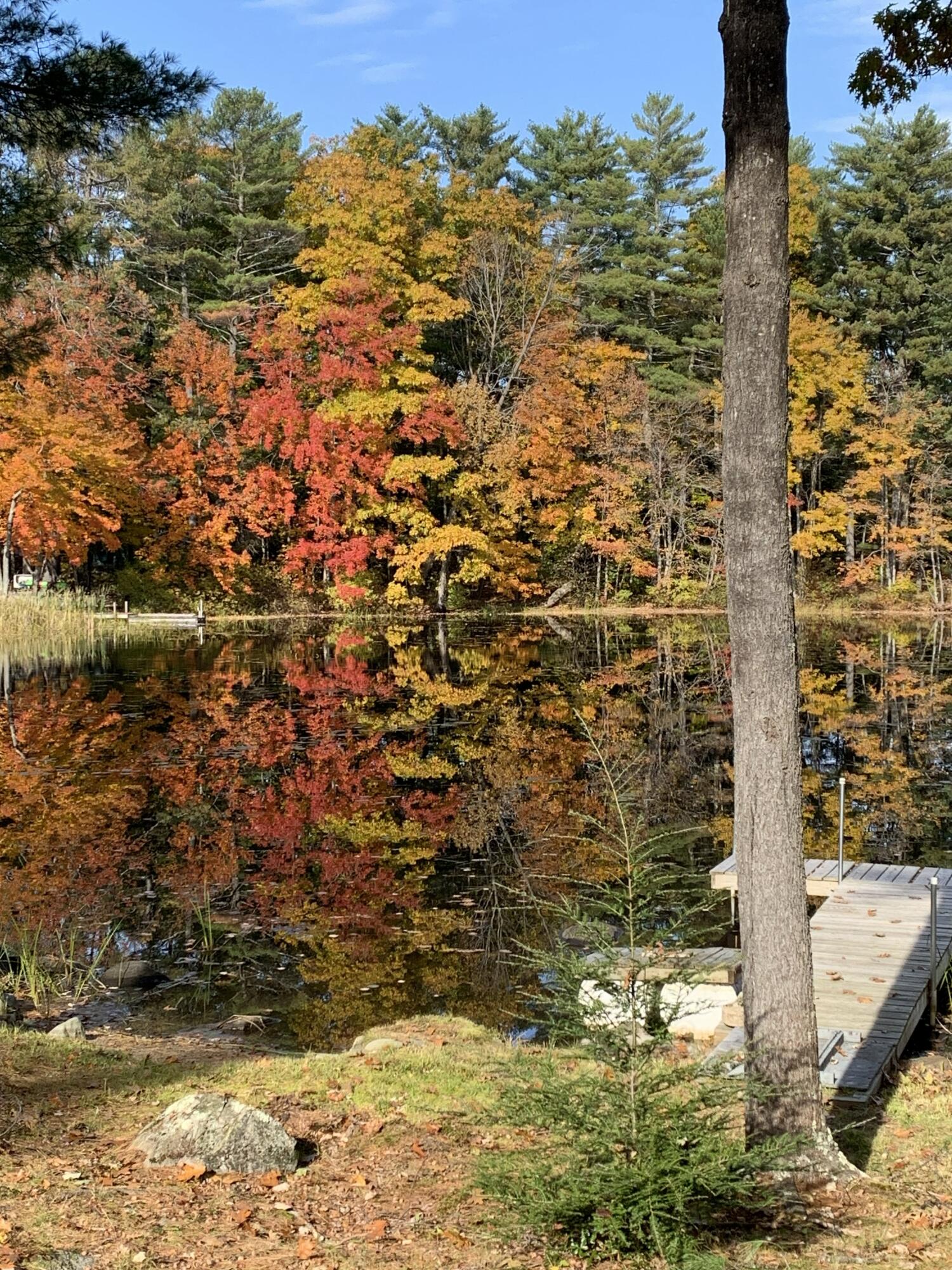 Fall