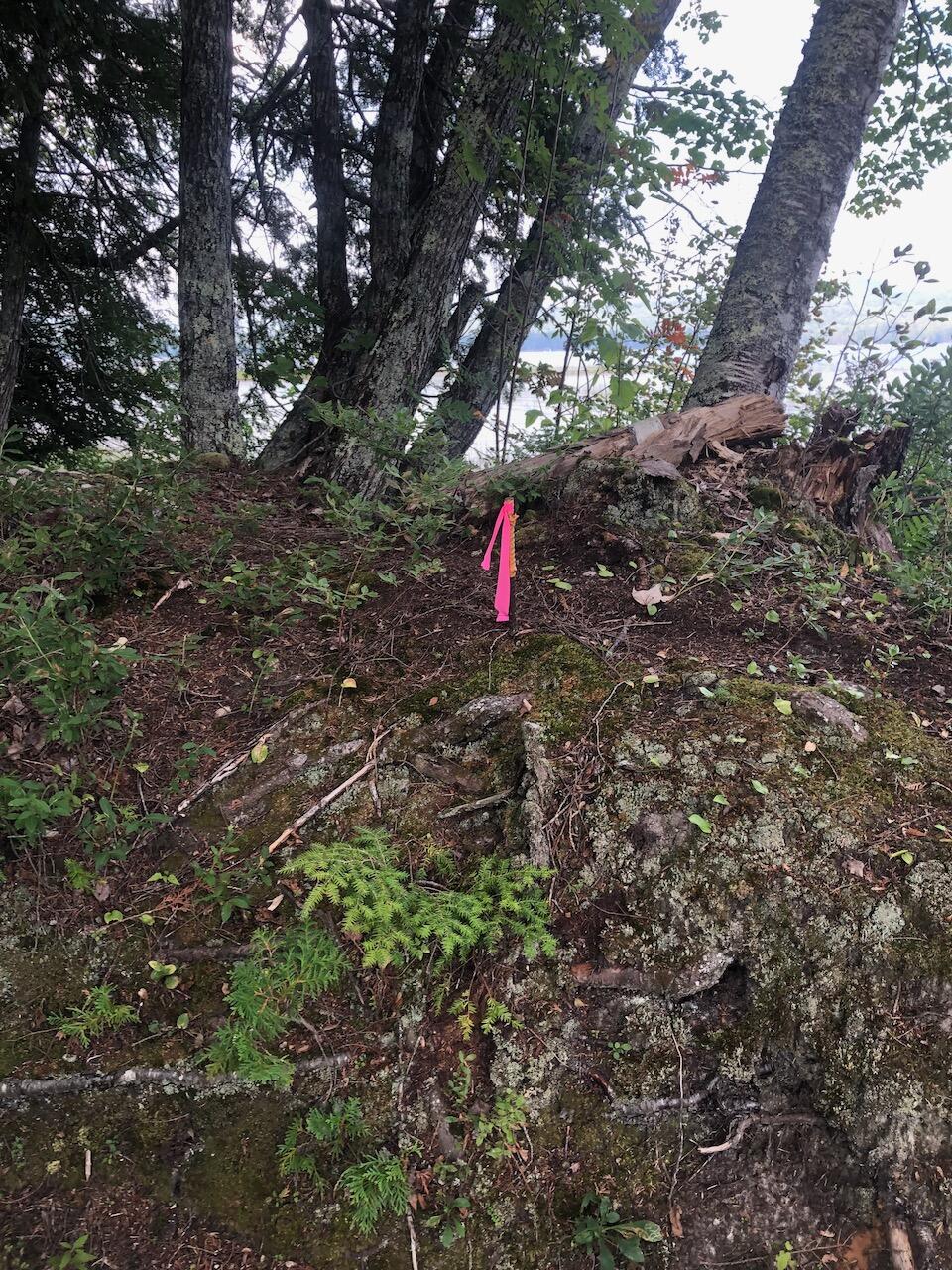 06 Swett Brook Lane, Weld, ME, 04285