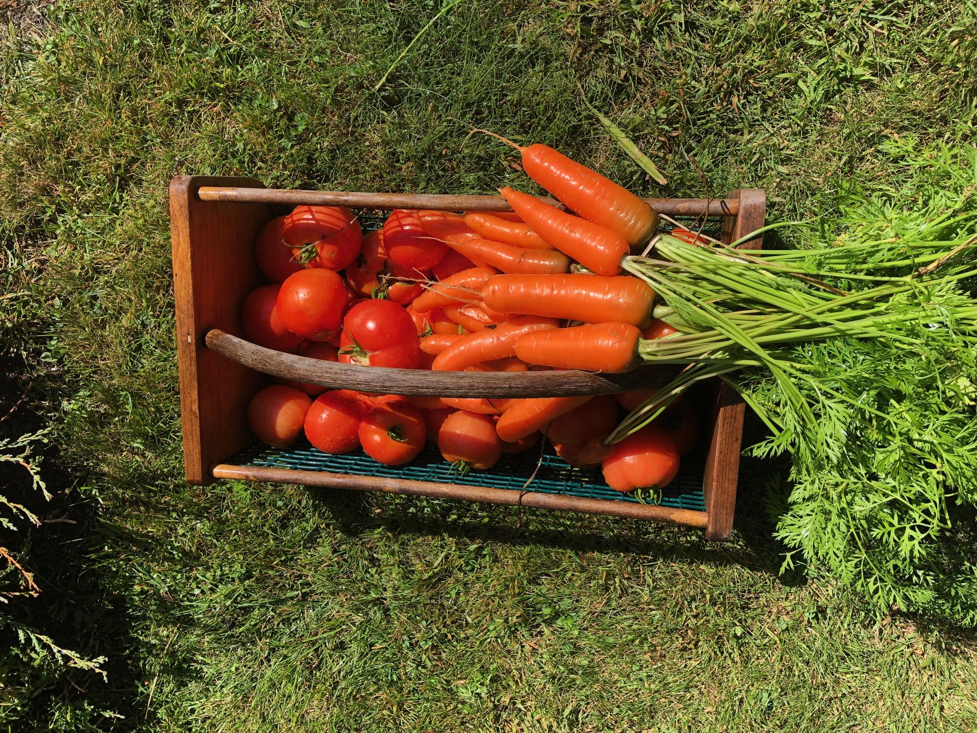 196 Woodmans Mill Road, Searsmont, ME, 04973